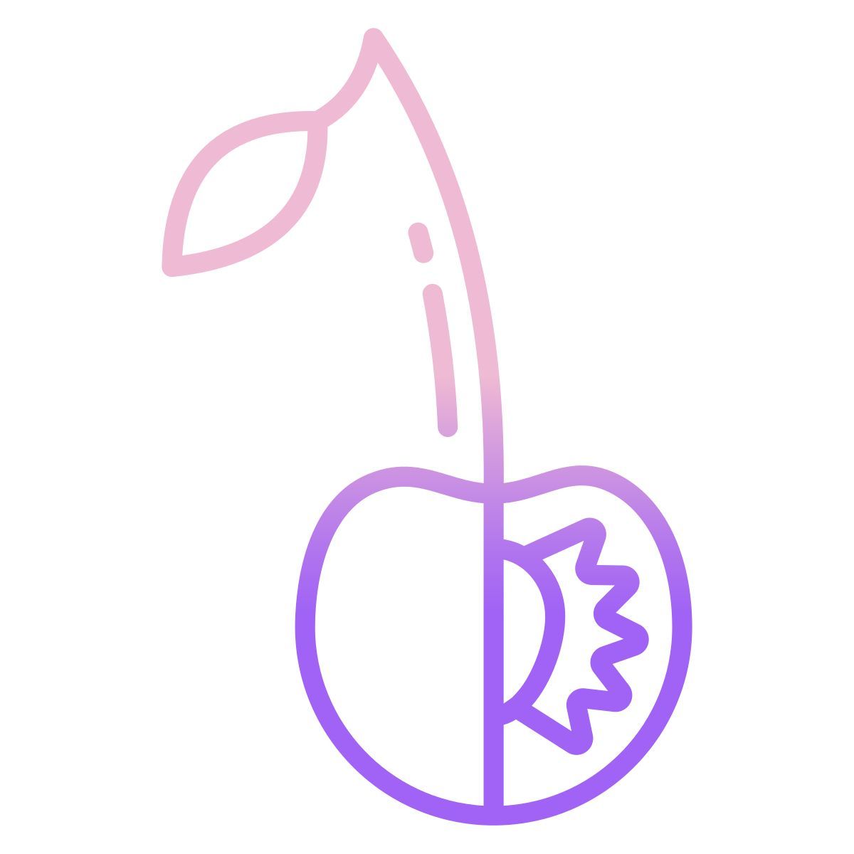 cherry icon