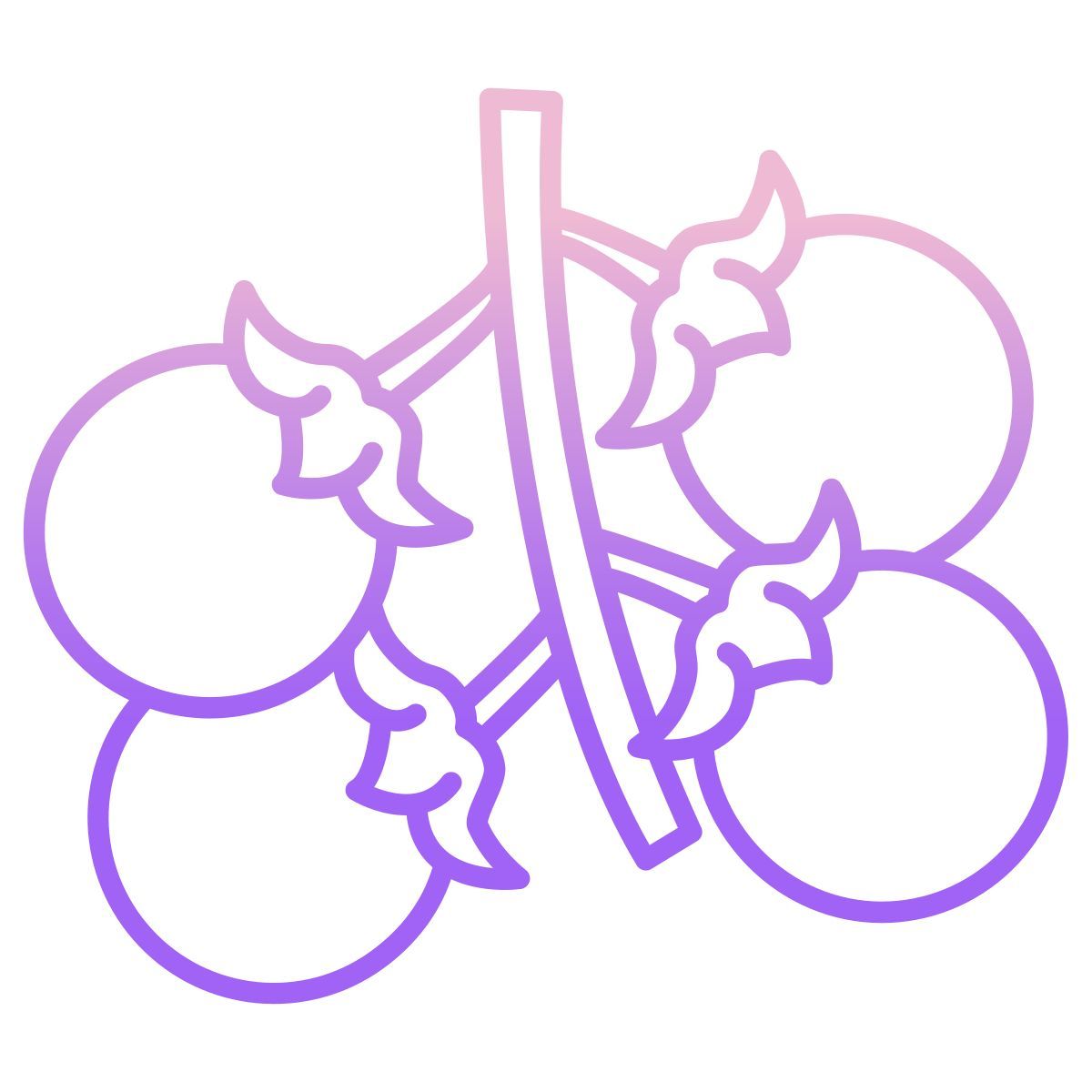 cherry tomato icon