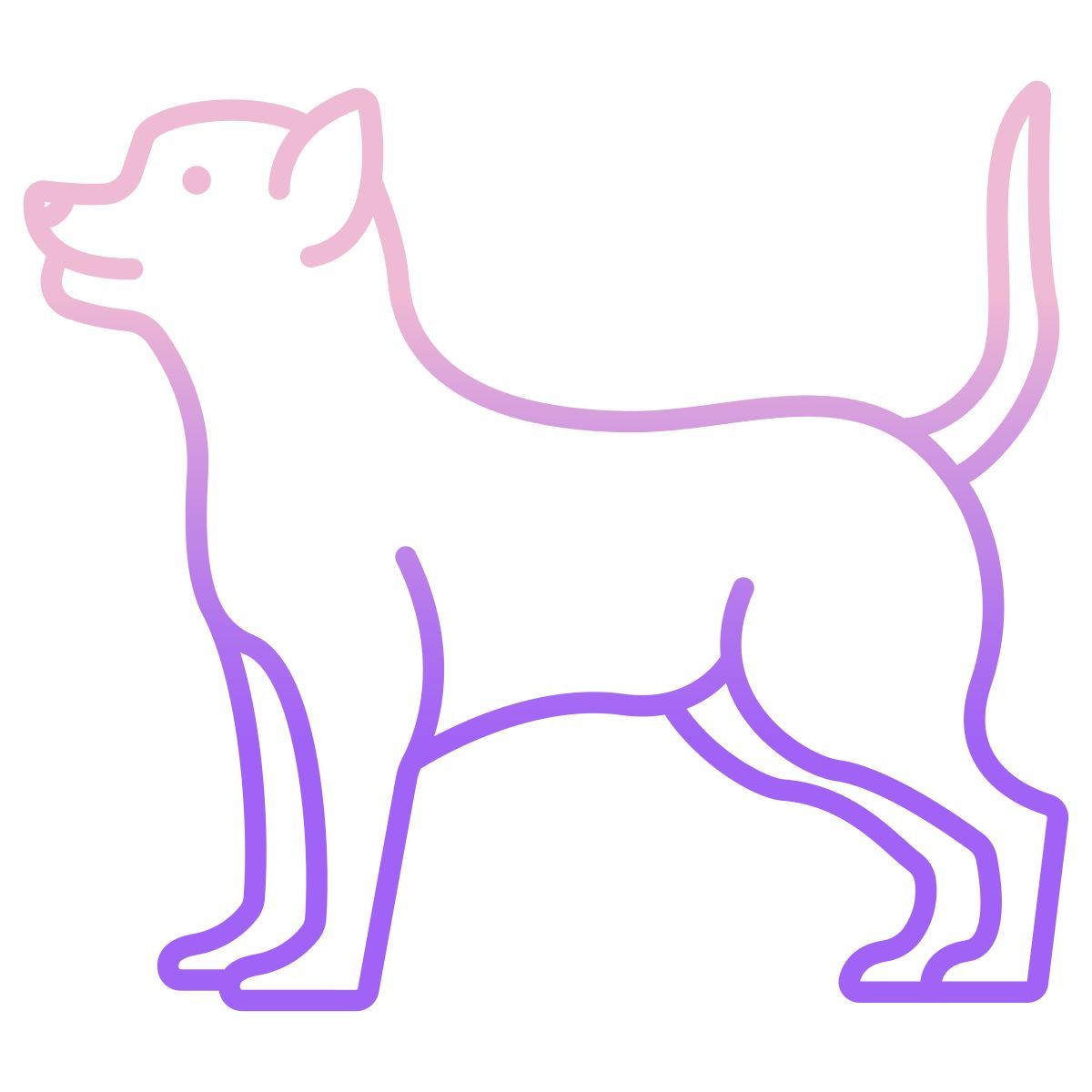 chihuahua icon