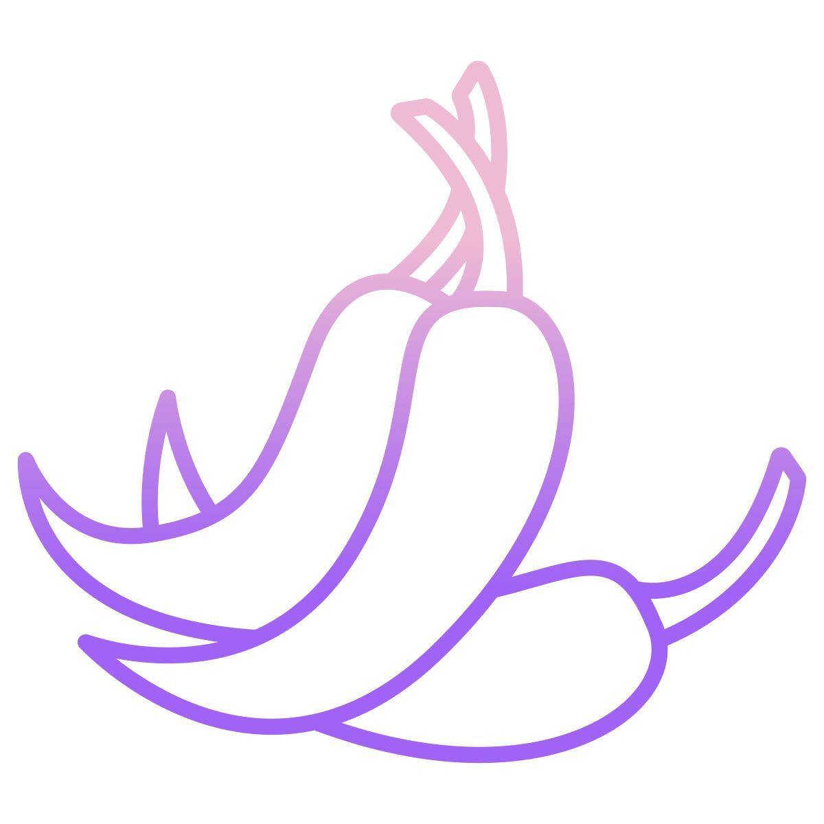 chilli icon