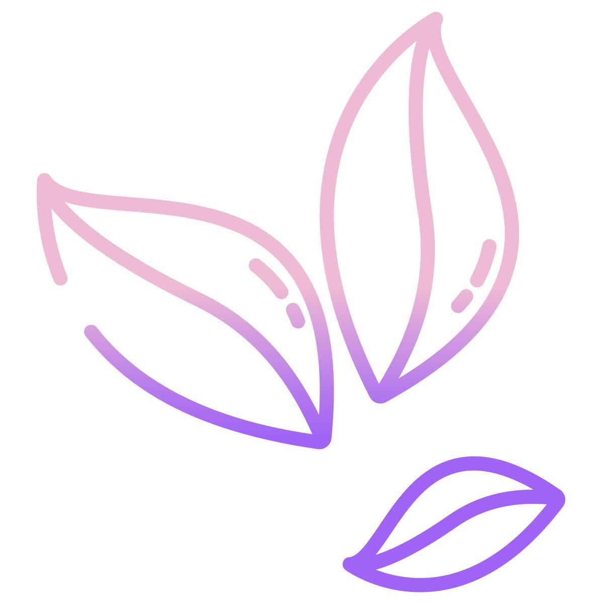 kokablätter icon