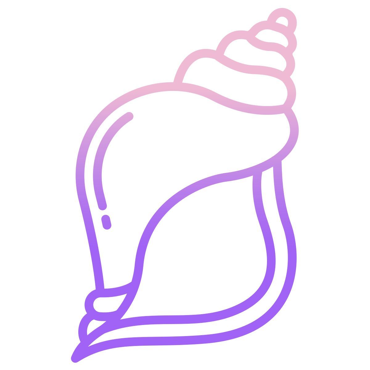 소라 껍질 icon