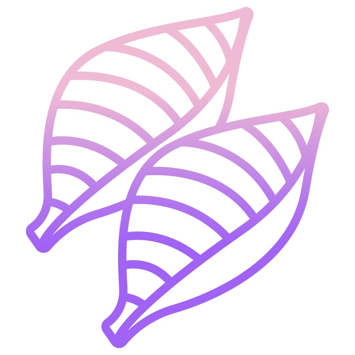 coquillages icon