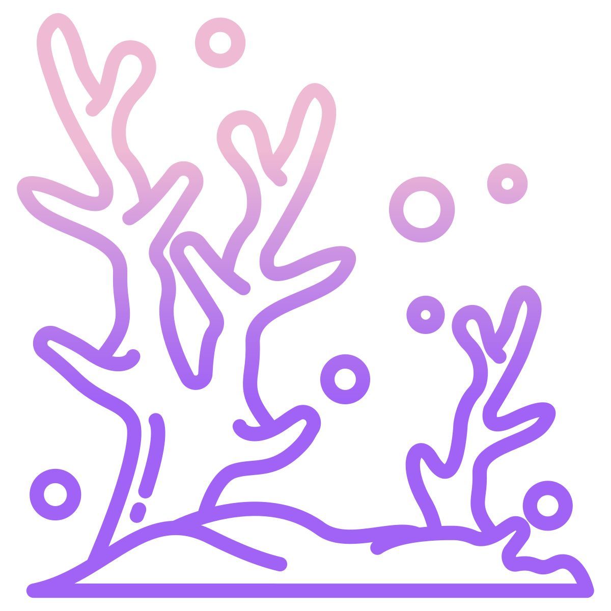 coral icon