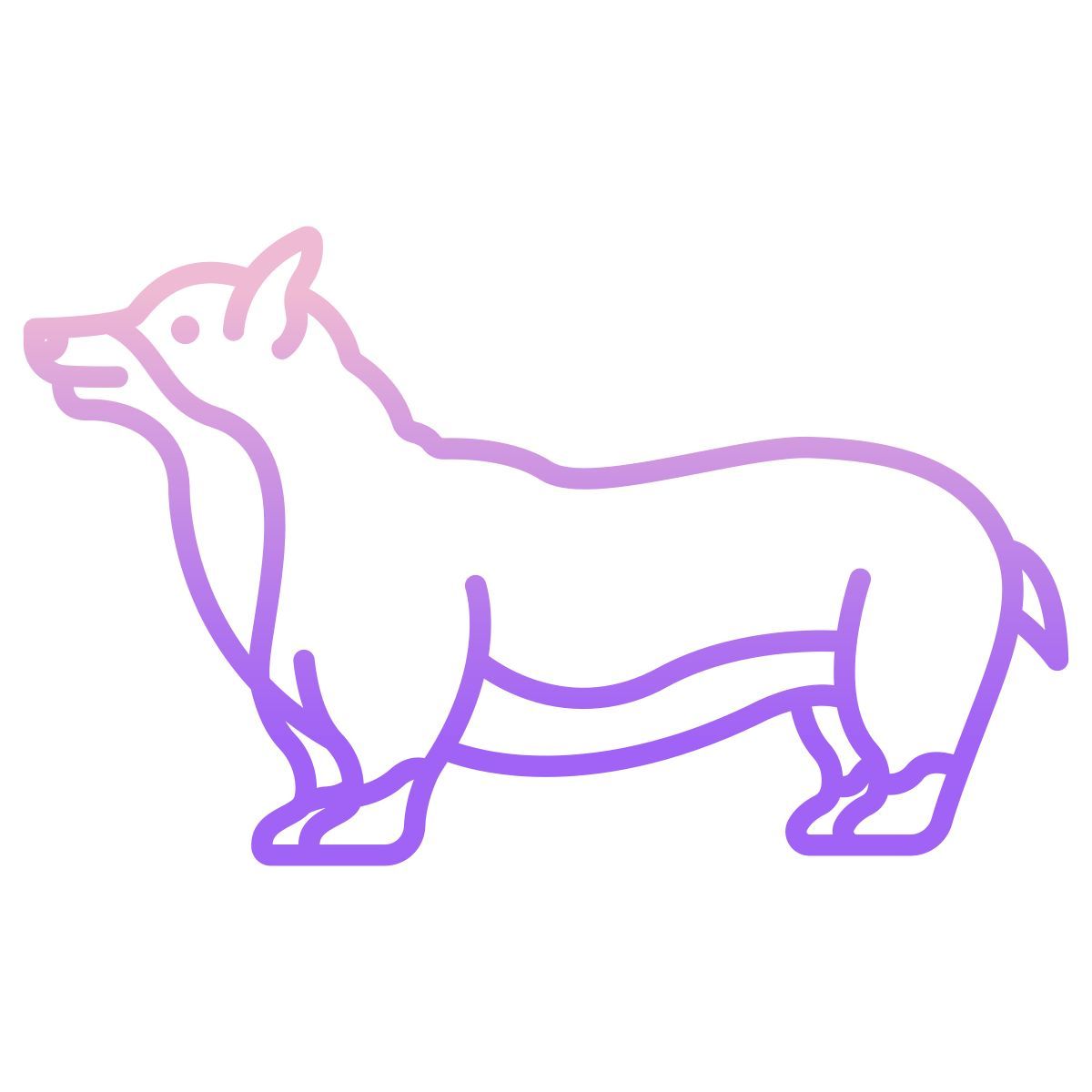 corgi icon
