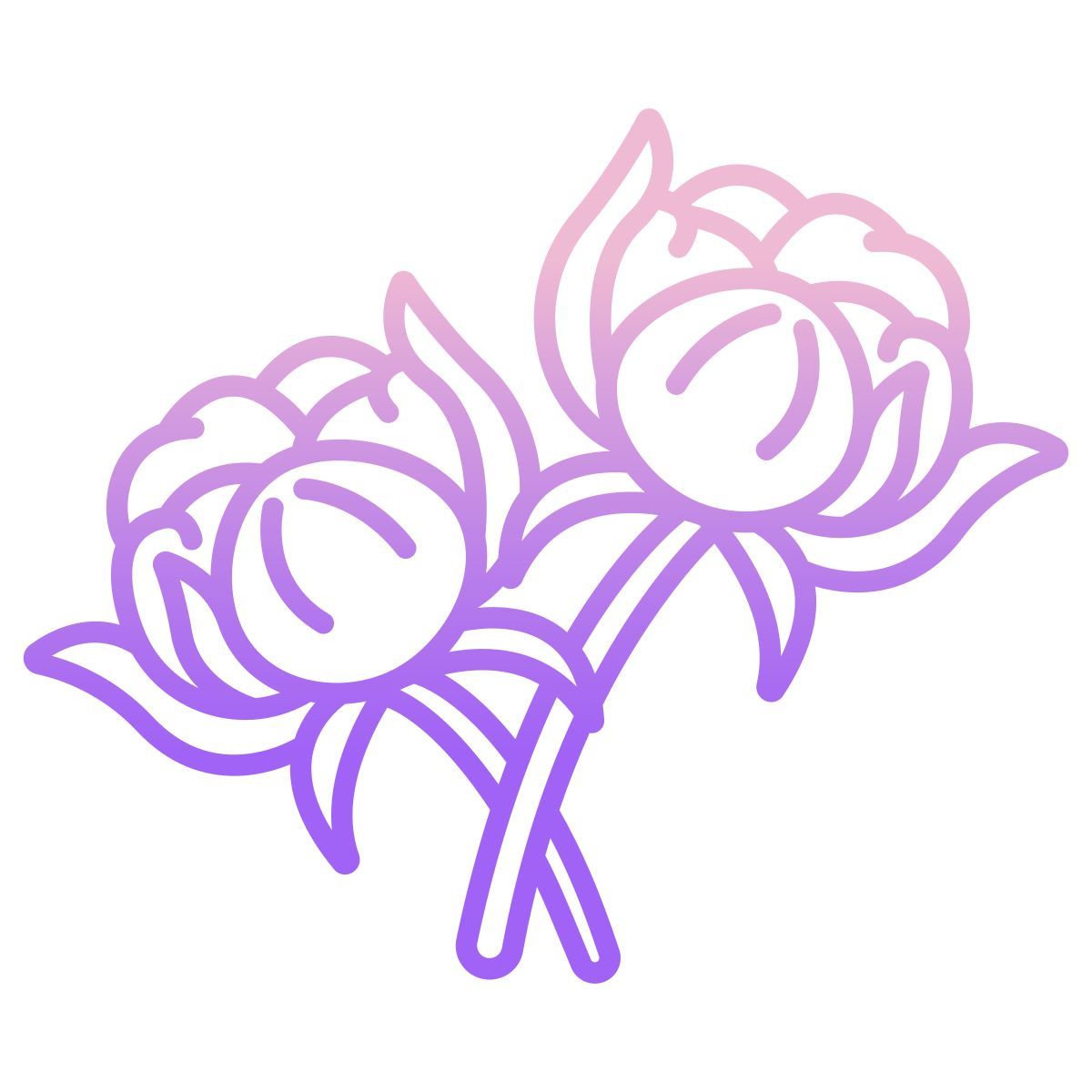 cotton icon