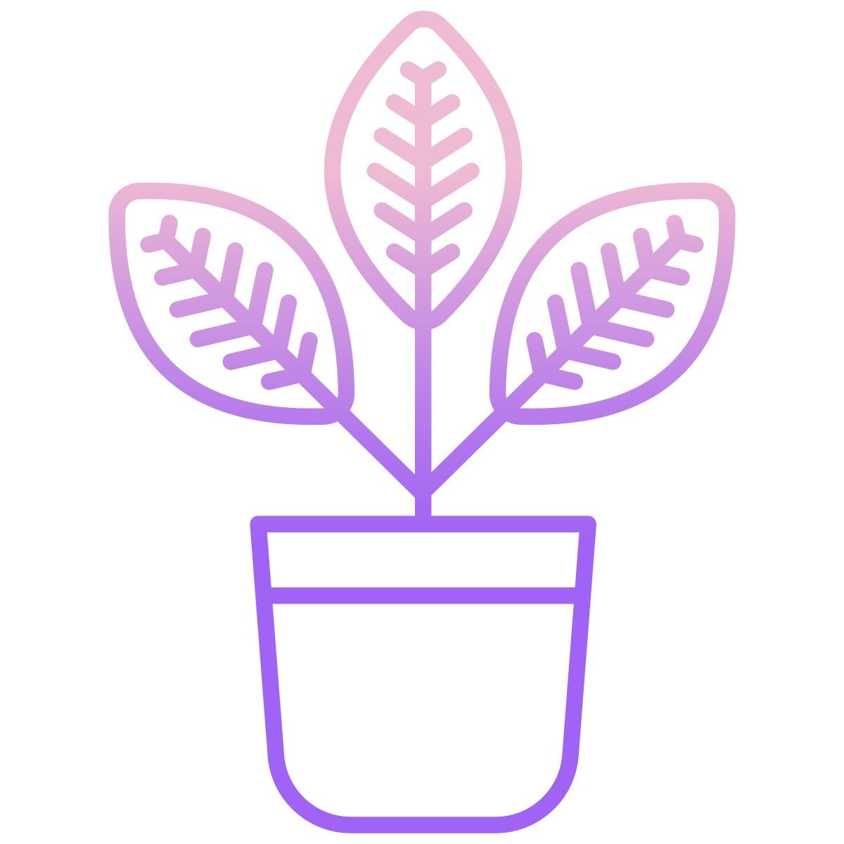 croton icon