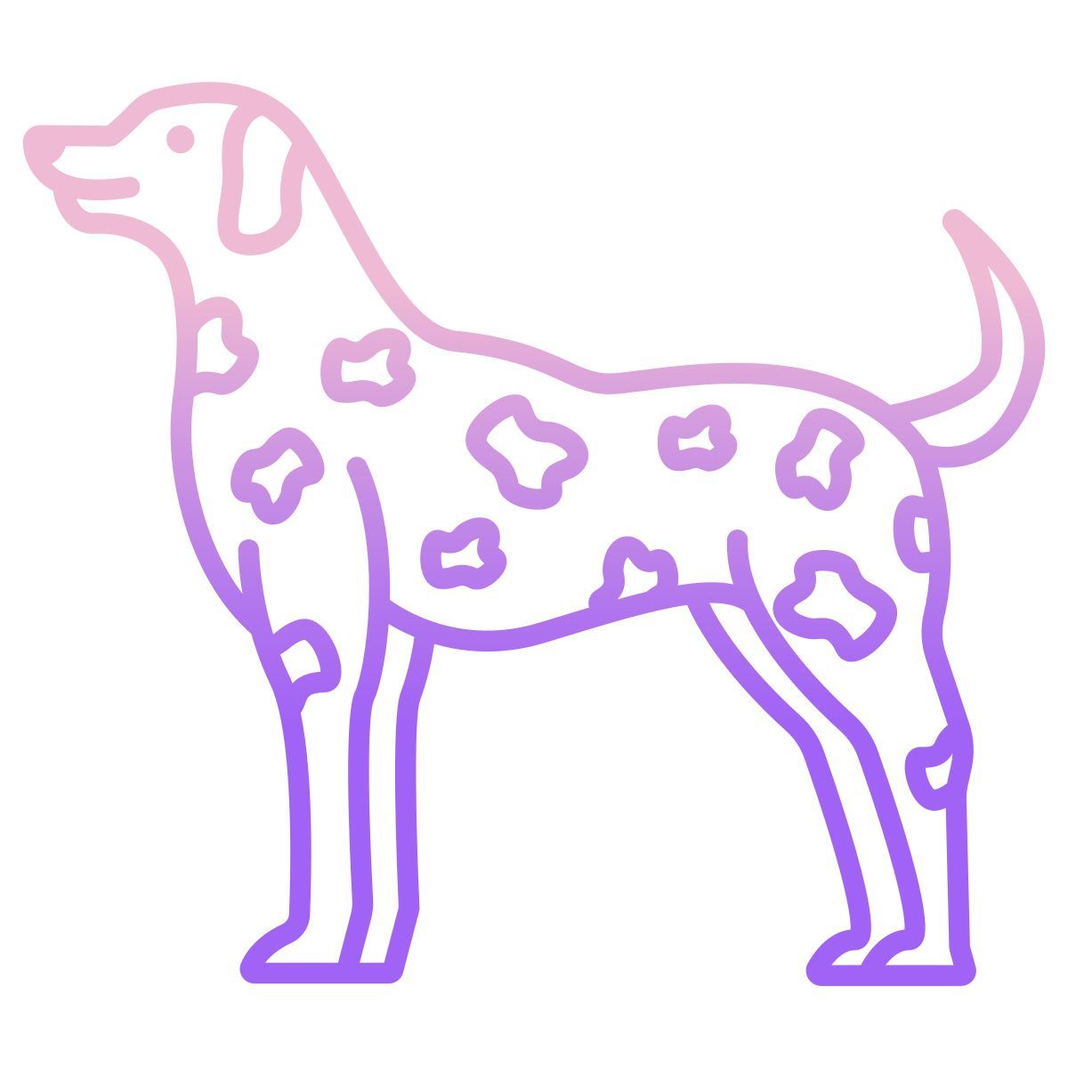 dalmation icon