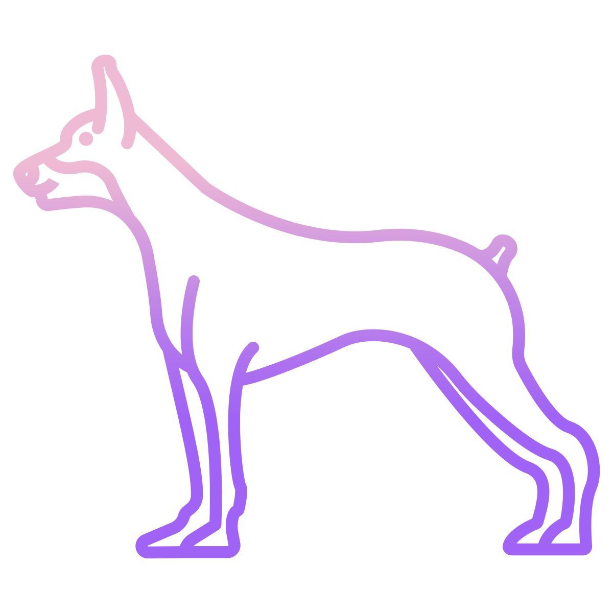 doberman icon