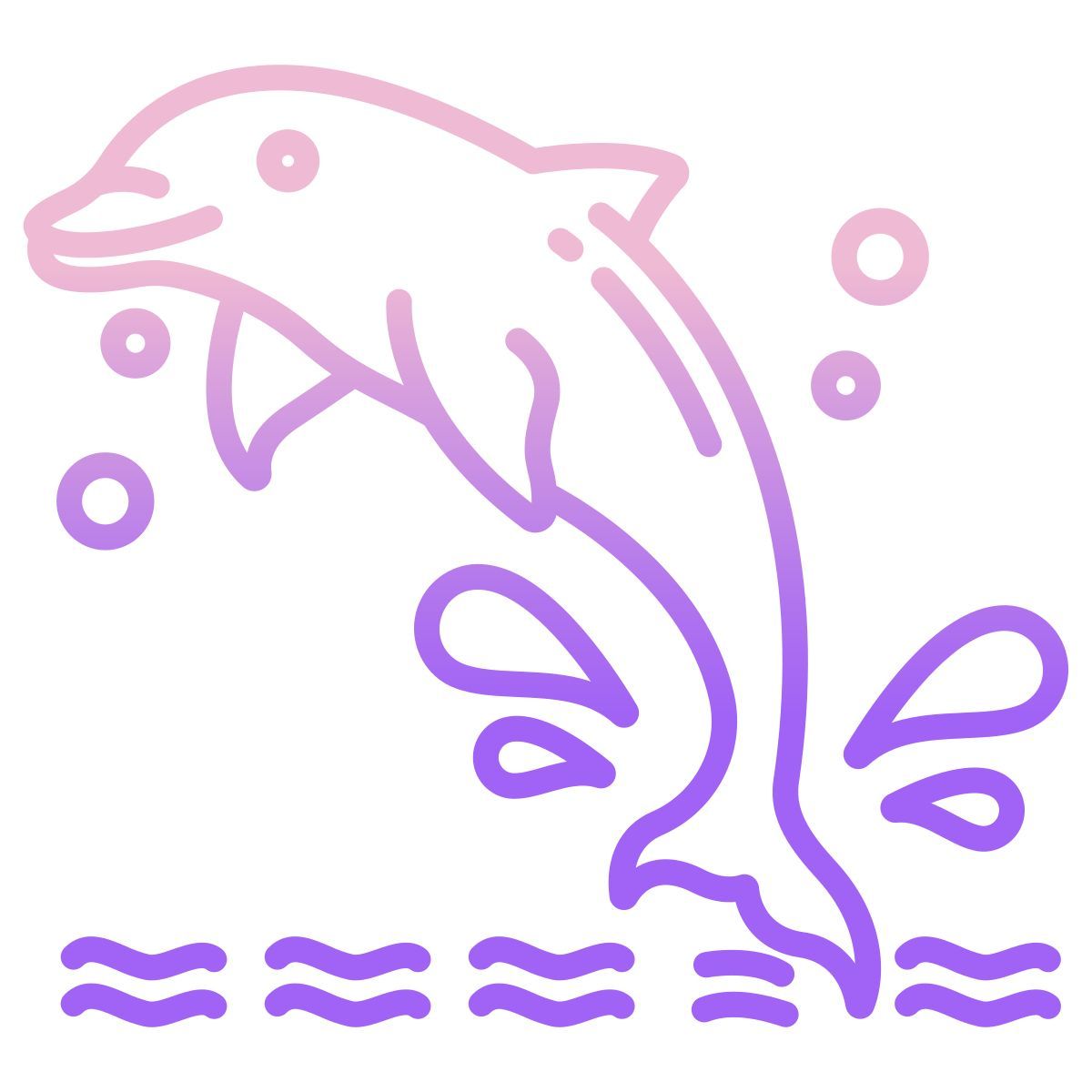 dolphin icon