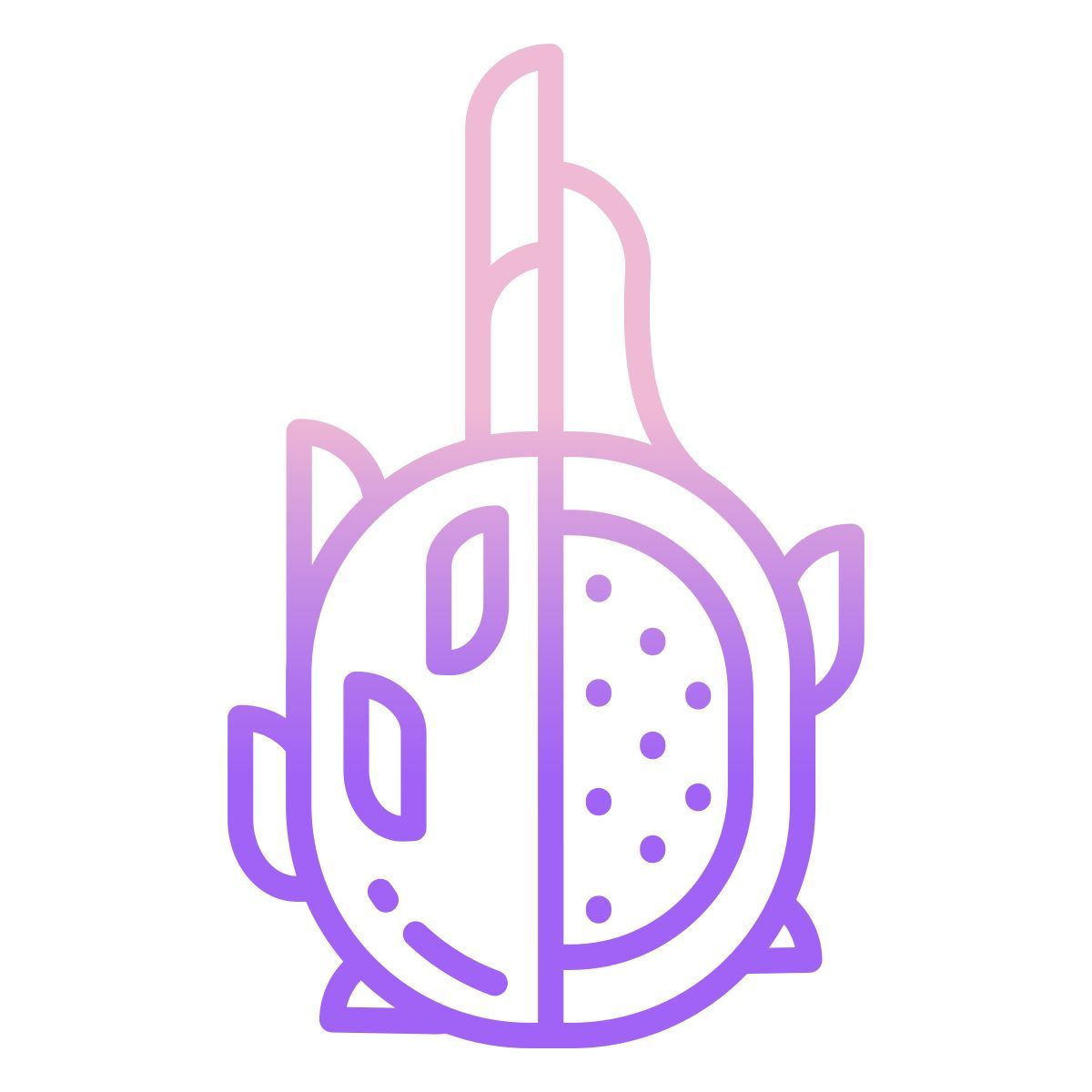 dragon fruit icon