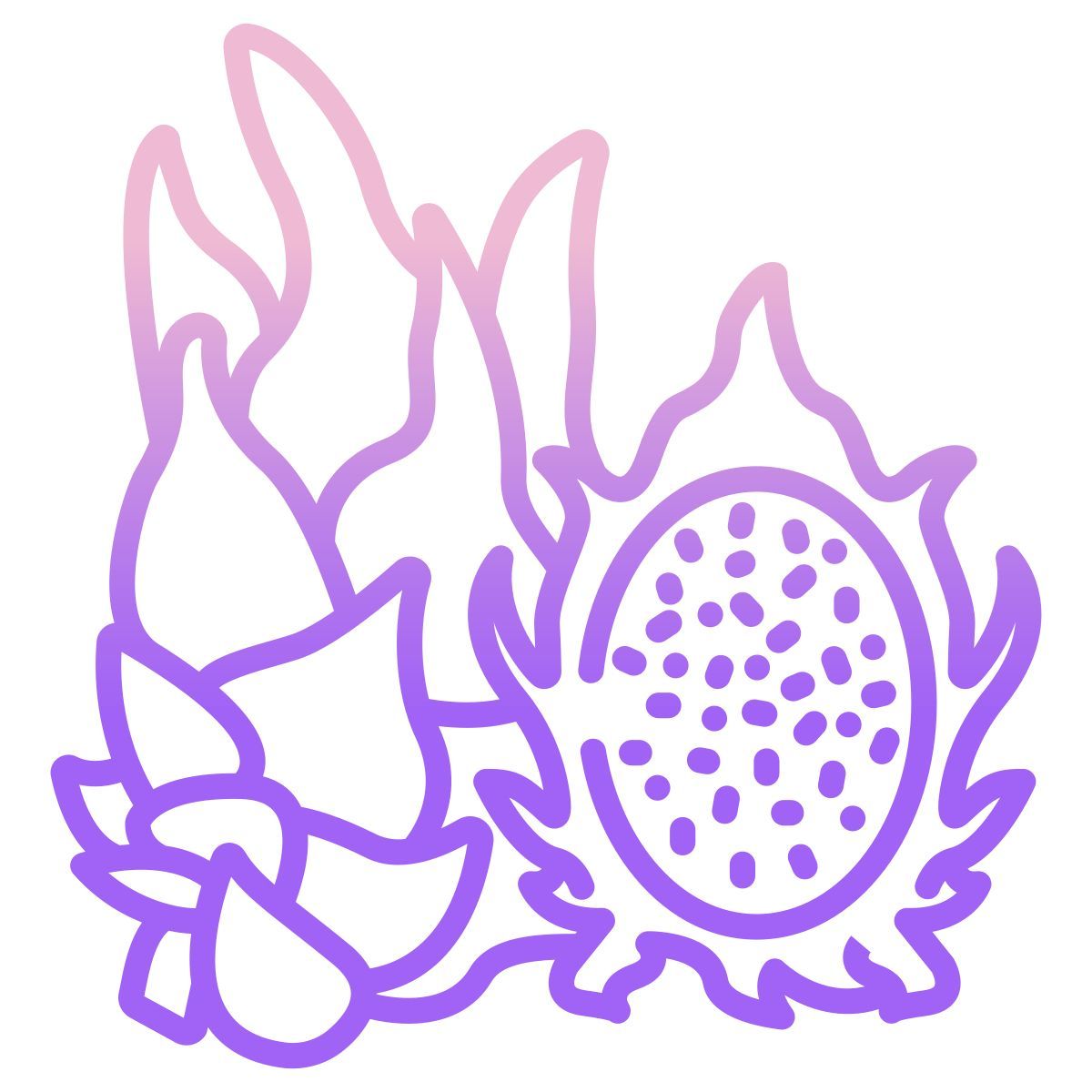 dragon fruit icon