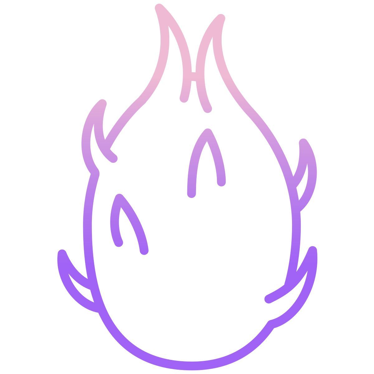 dragon fruit icon
