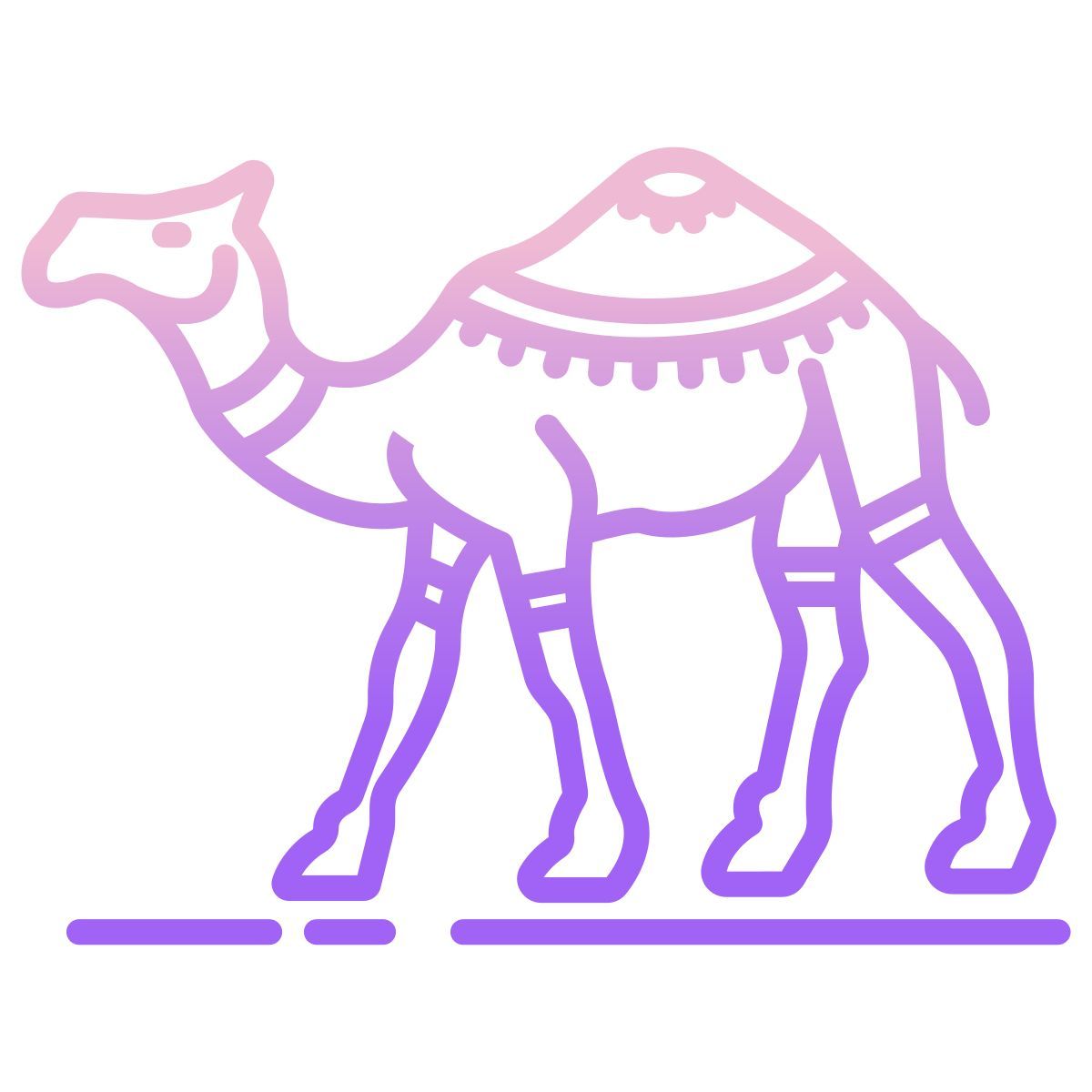dromedary icon