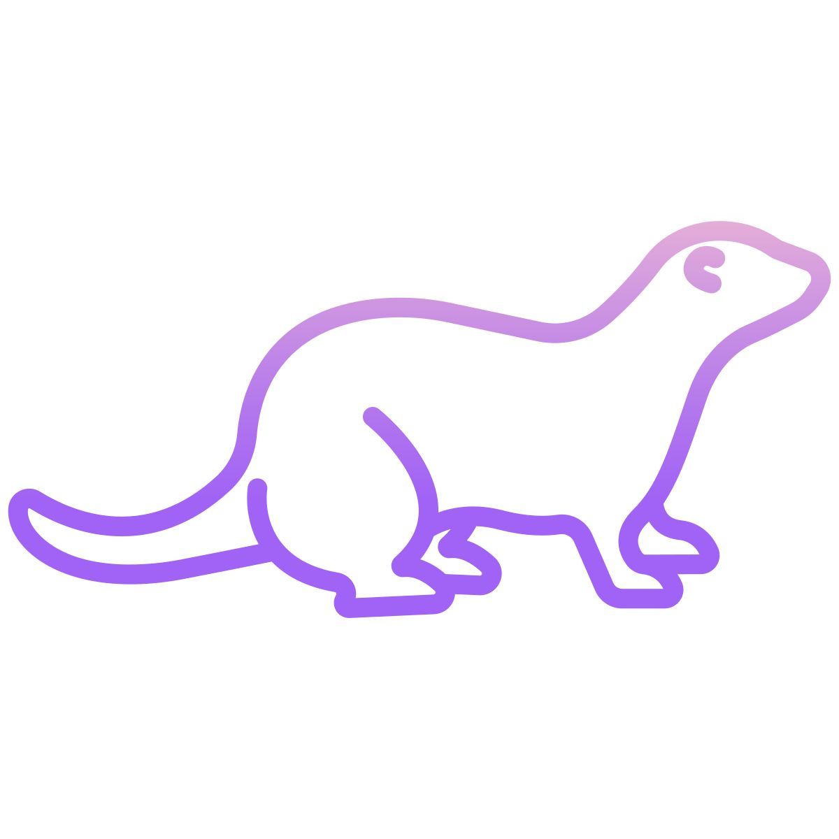 ferret icon