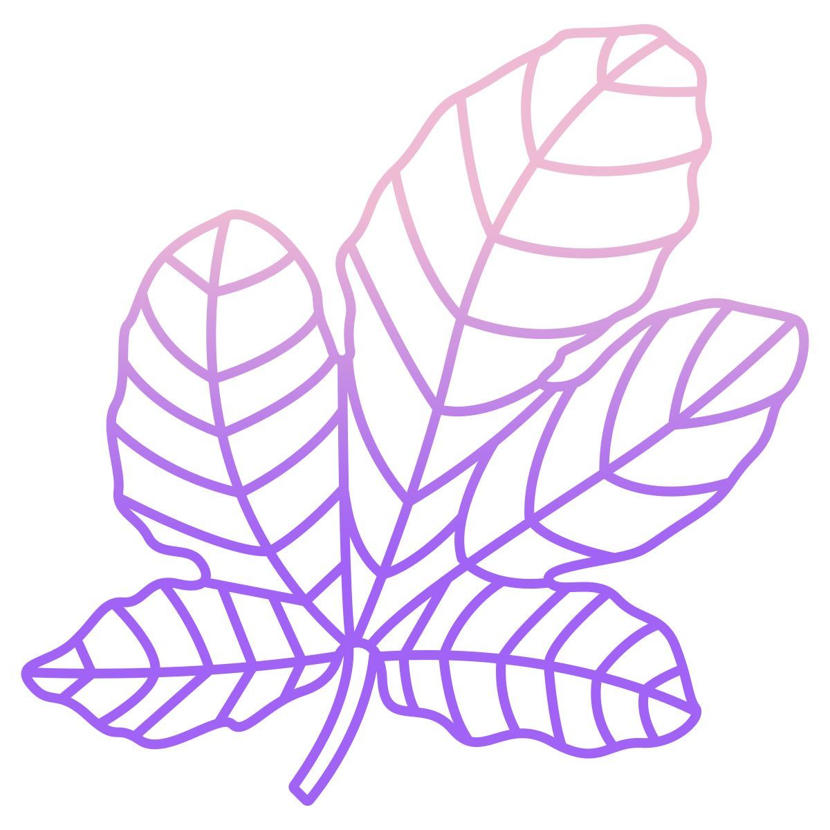 higo icon