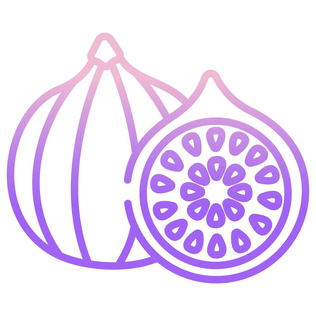 无花果 icon