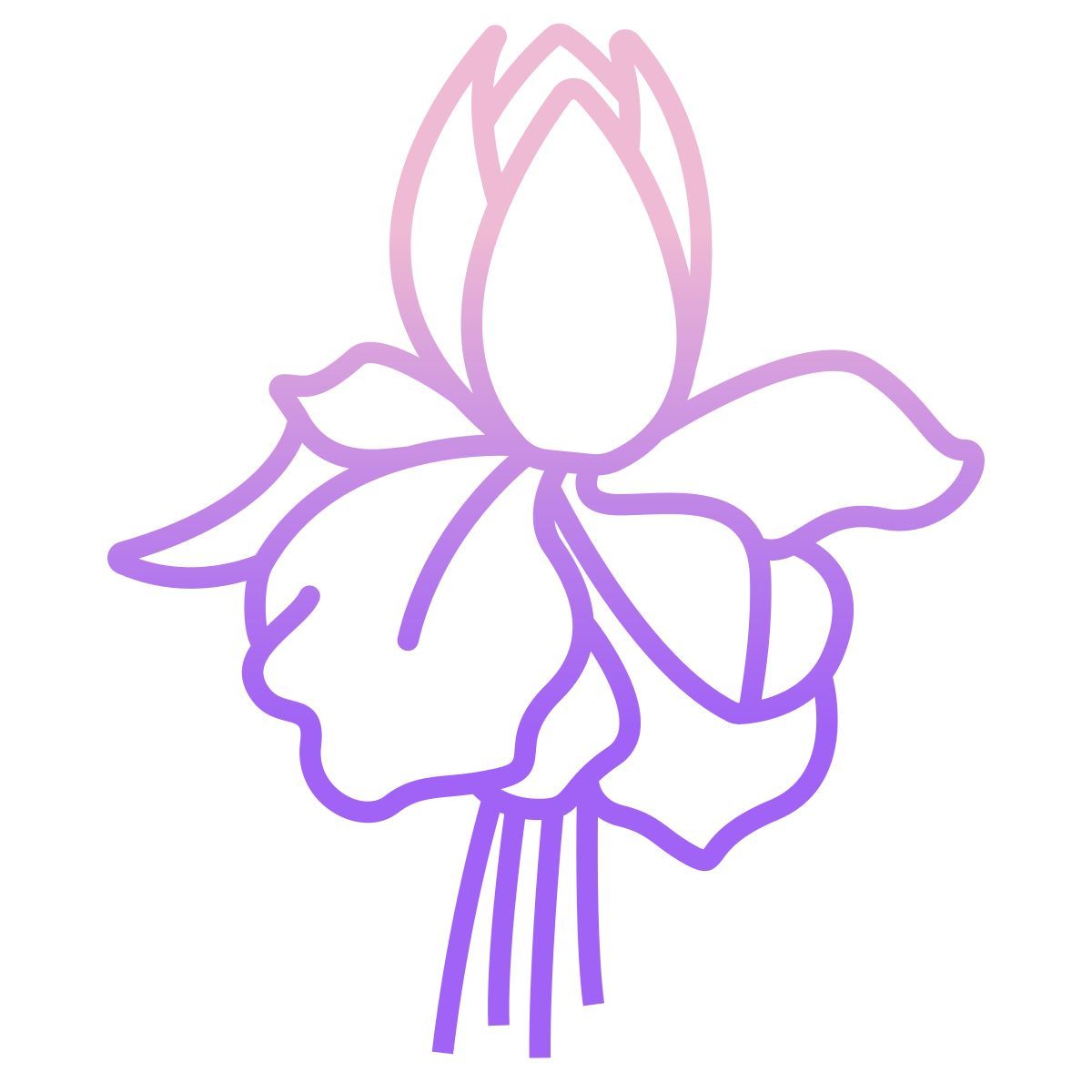 fuchsia icon