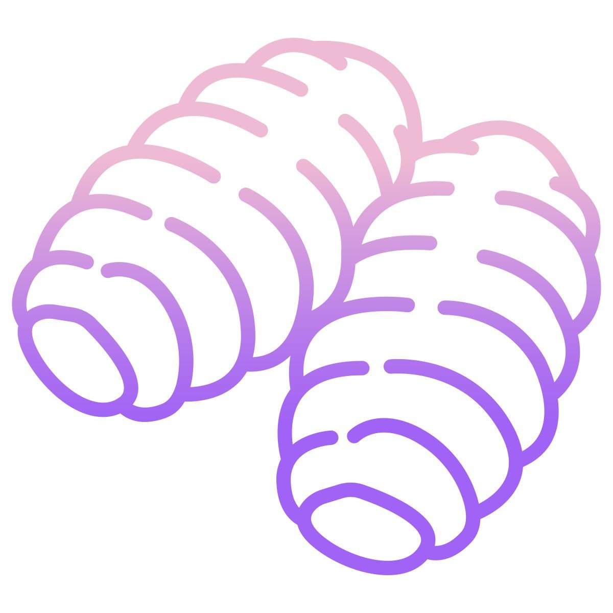 gnocchi icon
