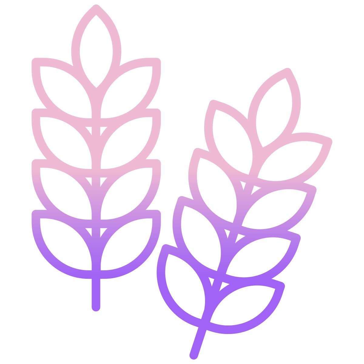 grains icon