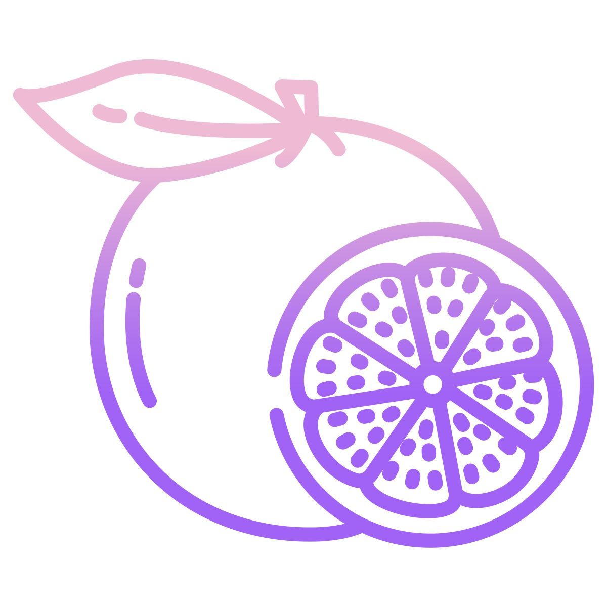 toranja icon