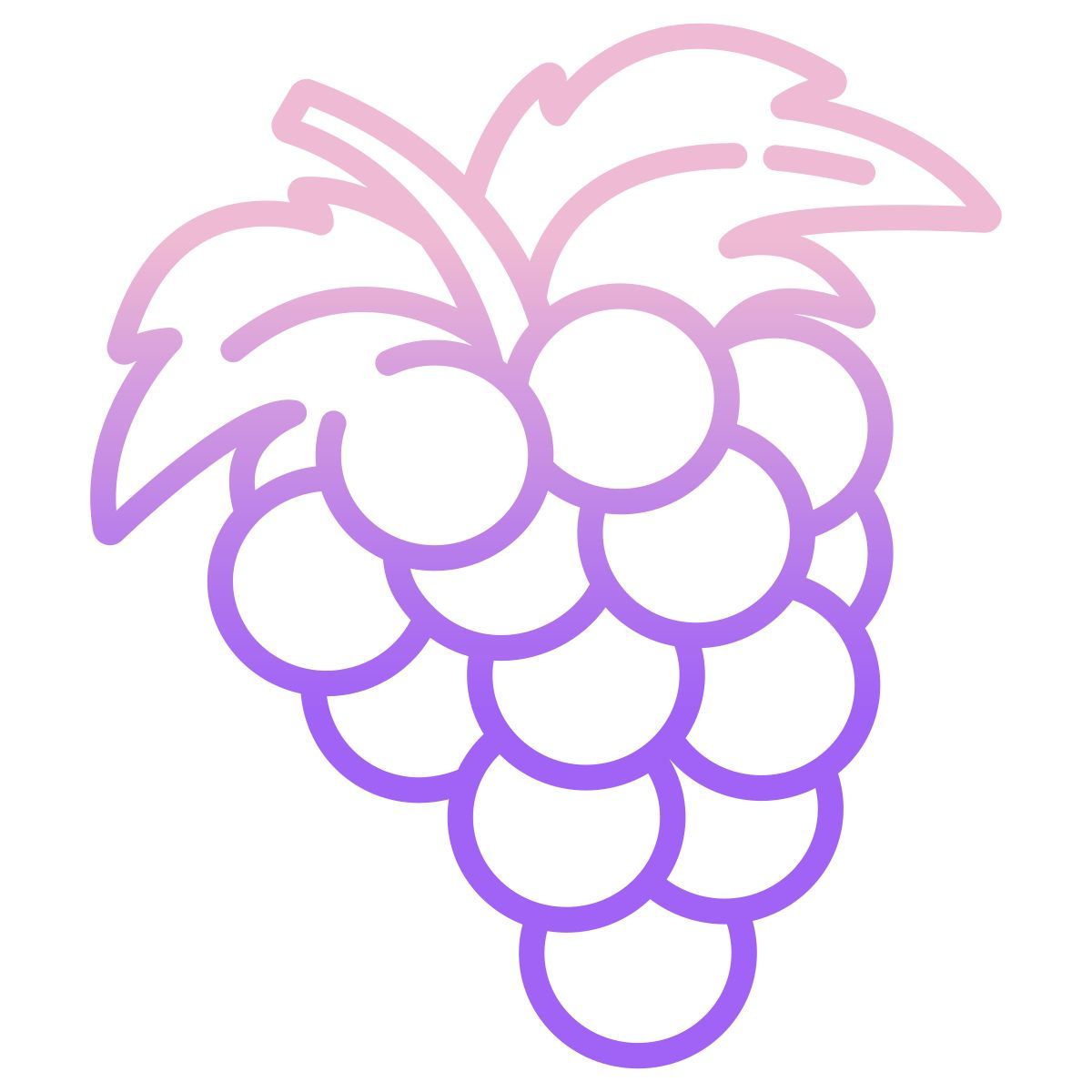 grapes icon