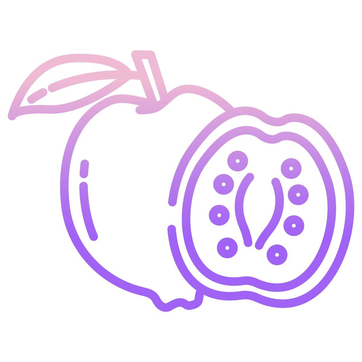 番石榴 icon