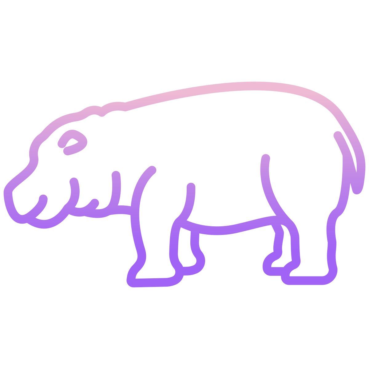 hippopotamus icon