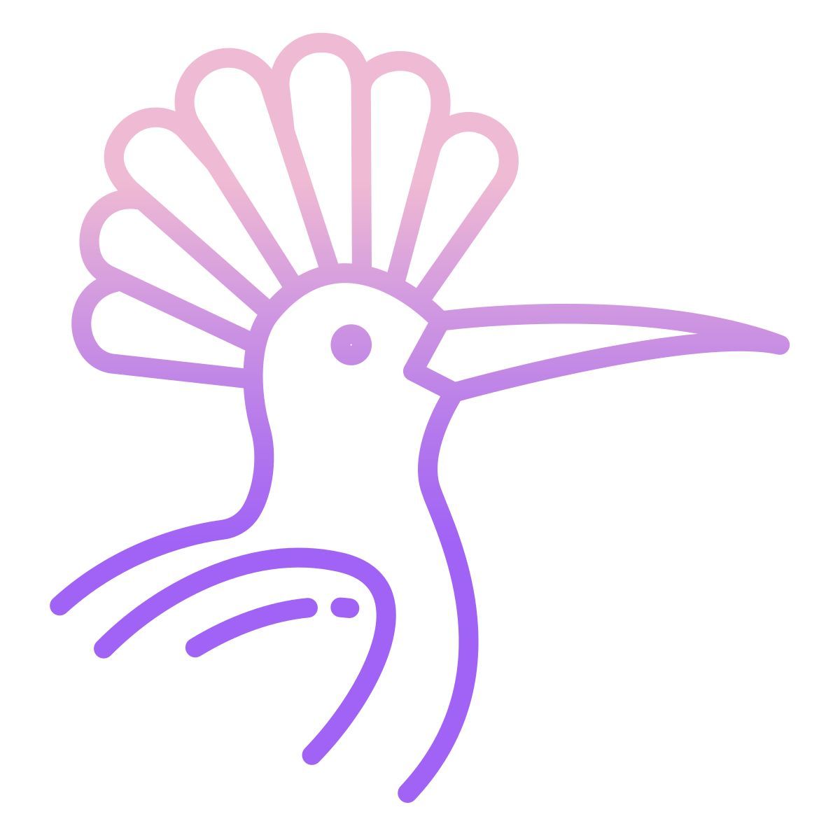hoopoe icon