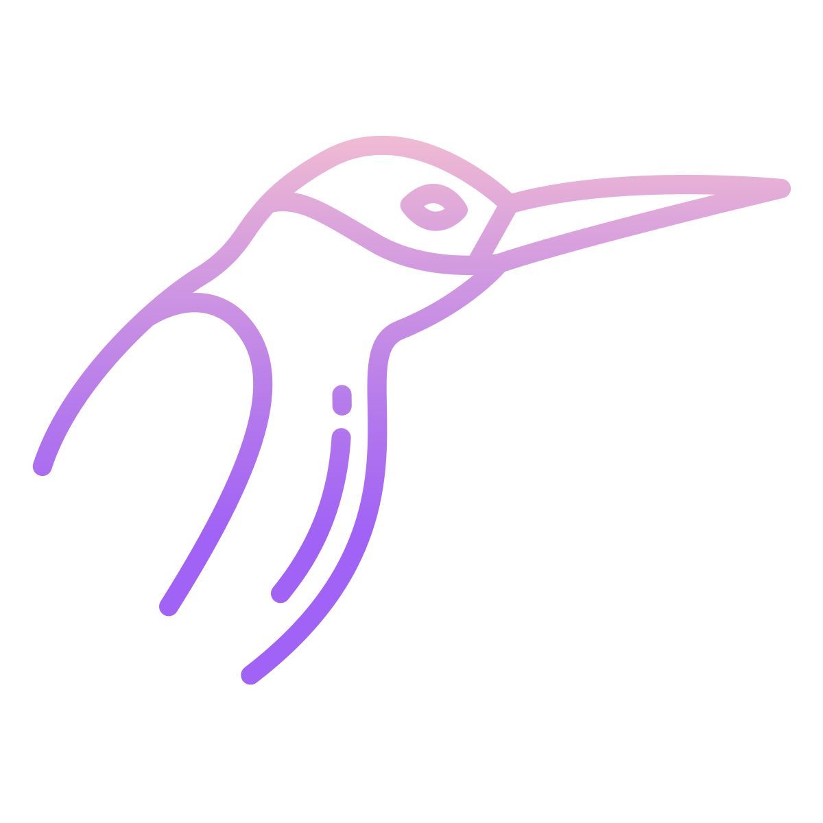 humming bird icon
