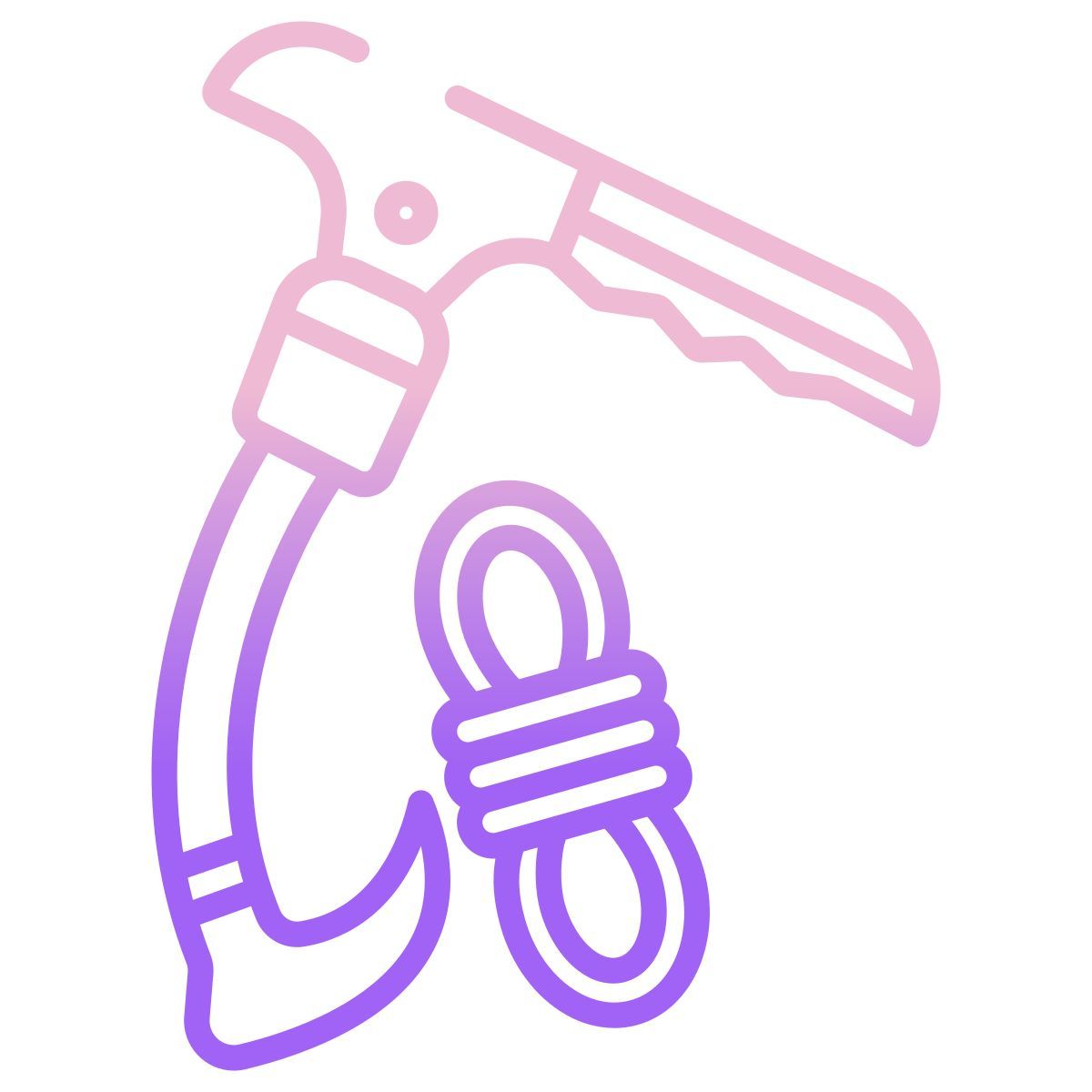 piolet icon