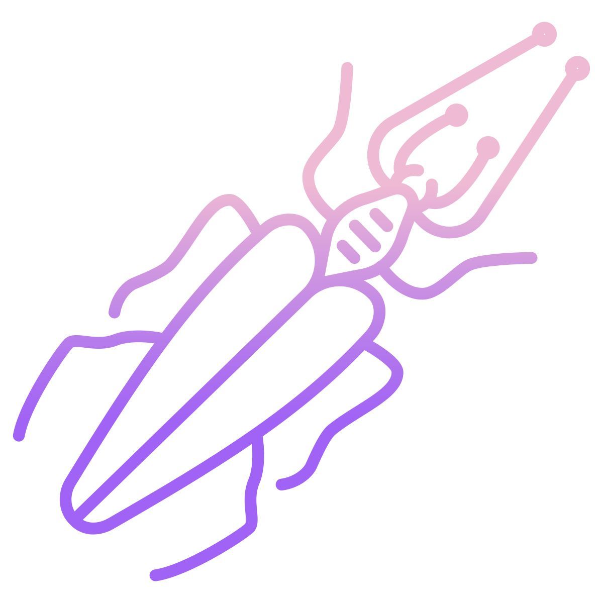 insect icon