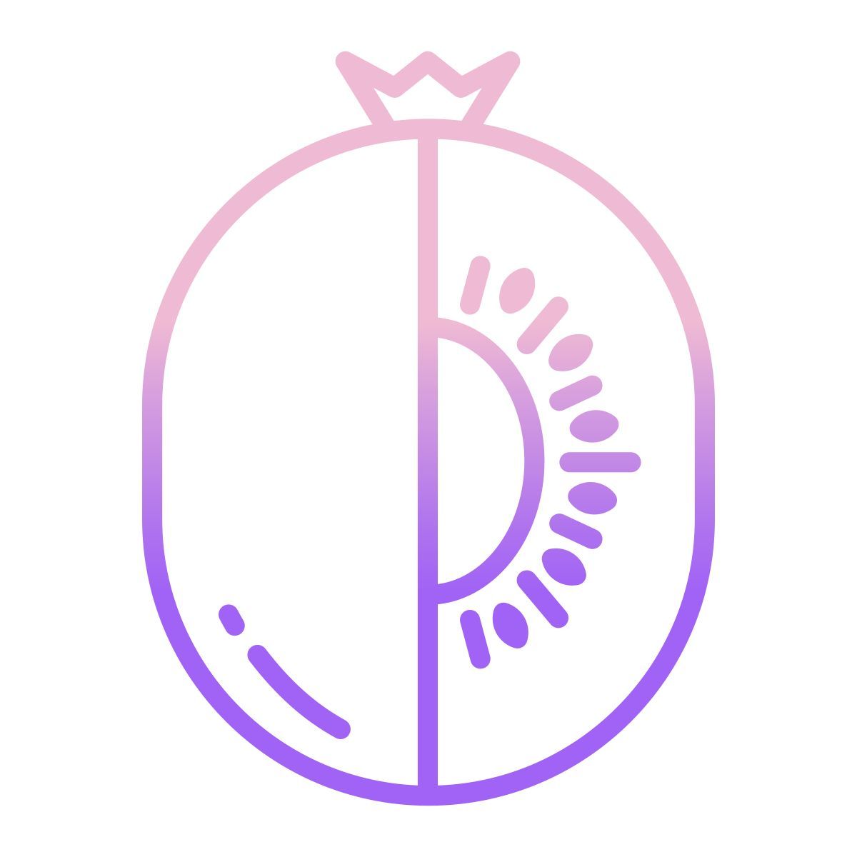 kiwi icon