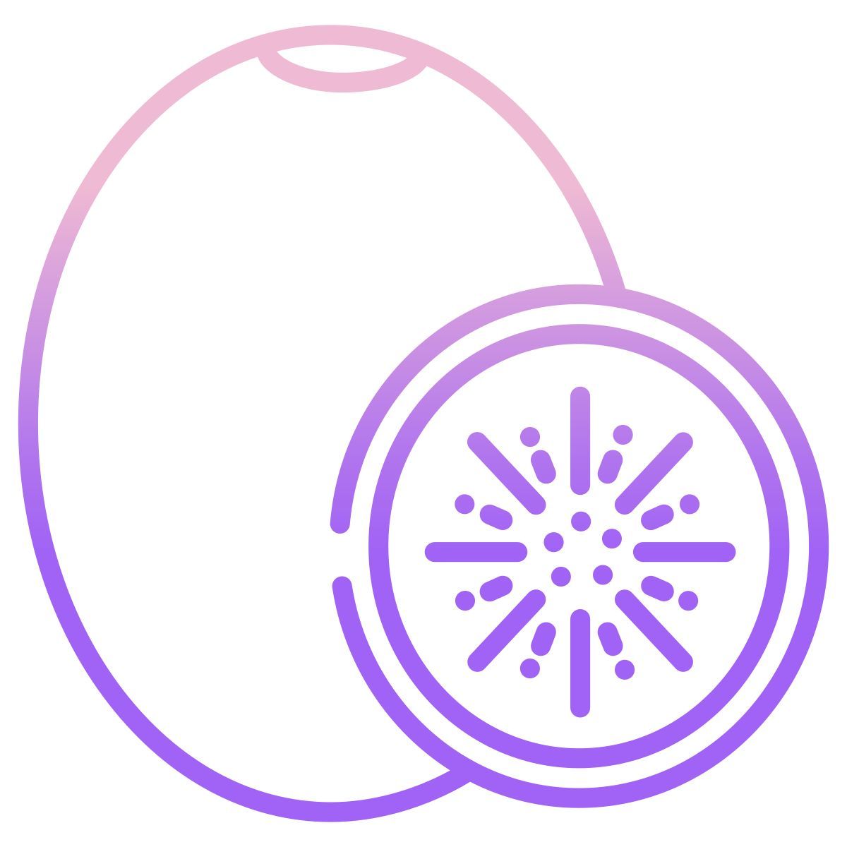 kiwi icon