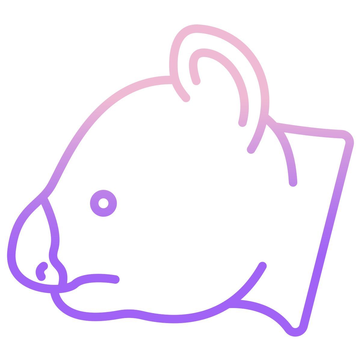 koala icon
