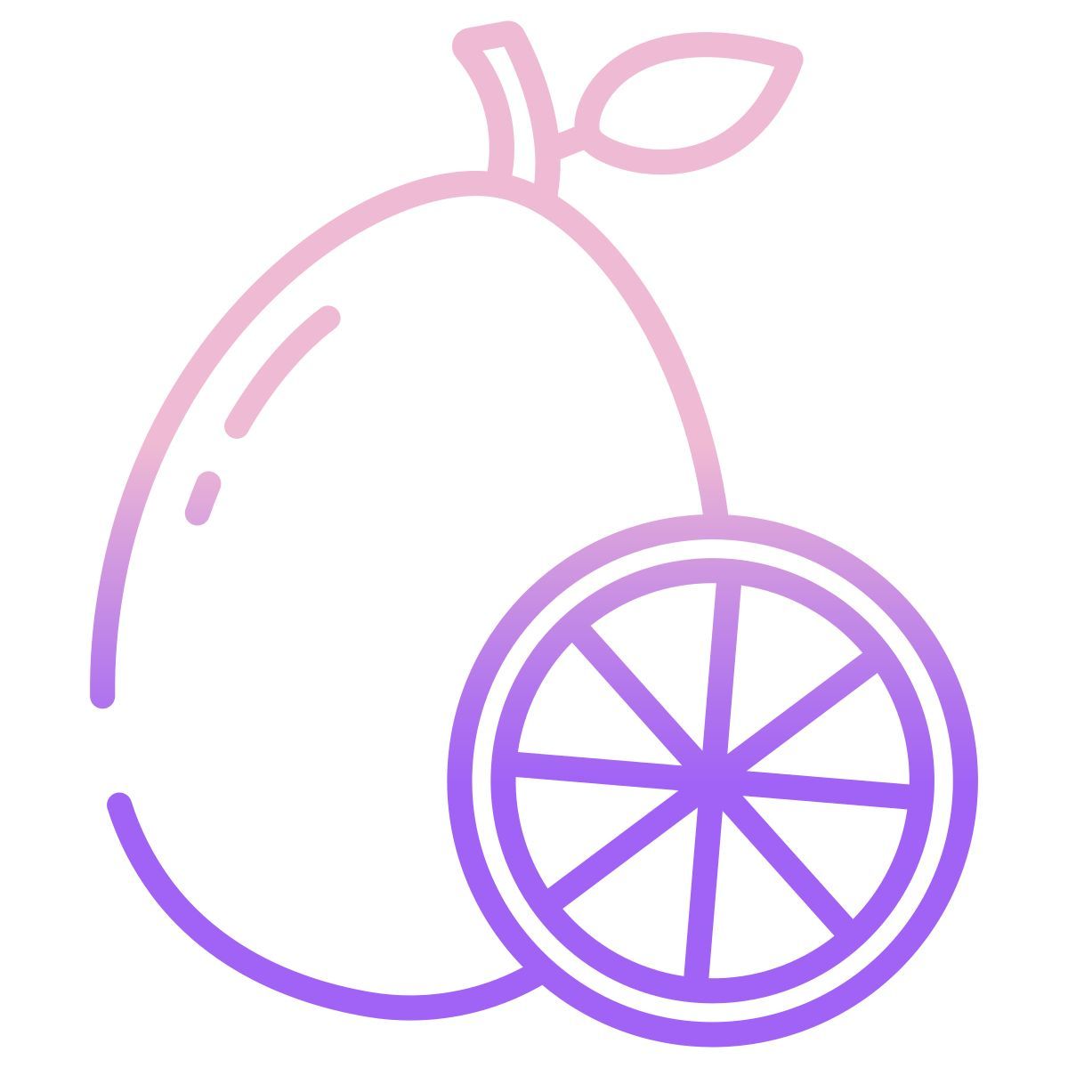 kumquat icon