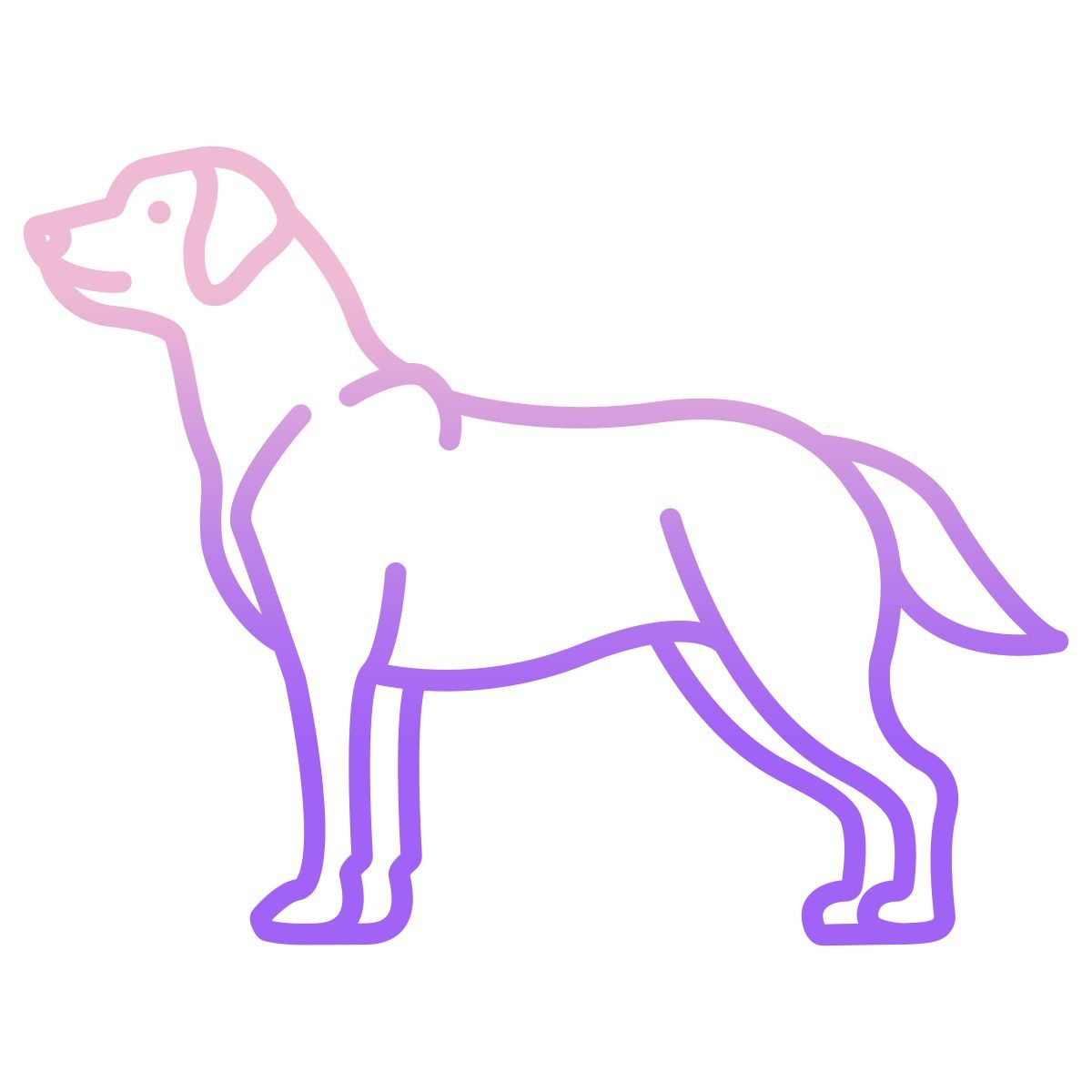 labrador retriever icon