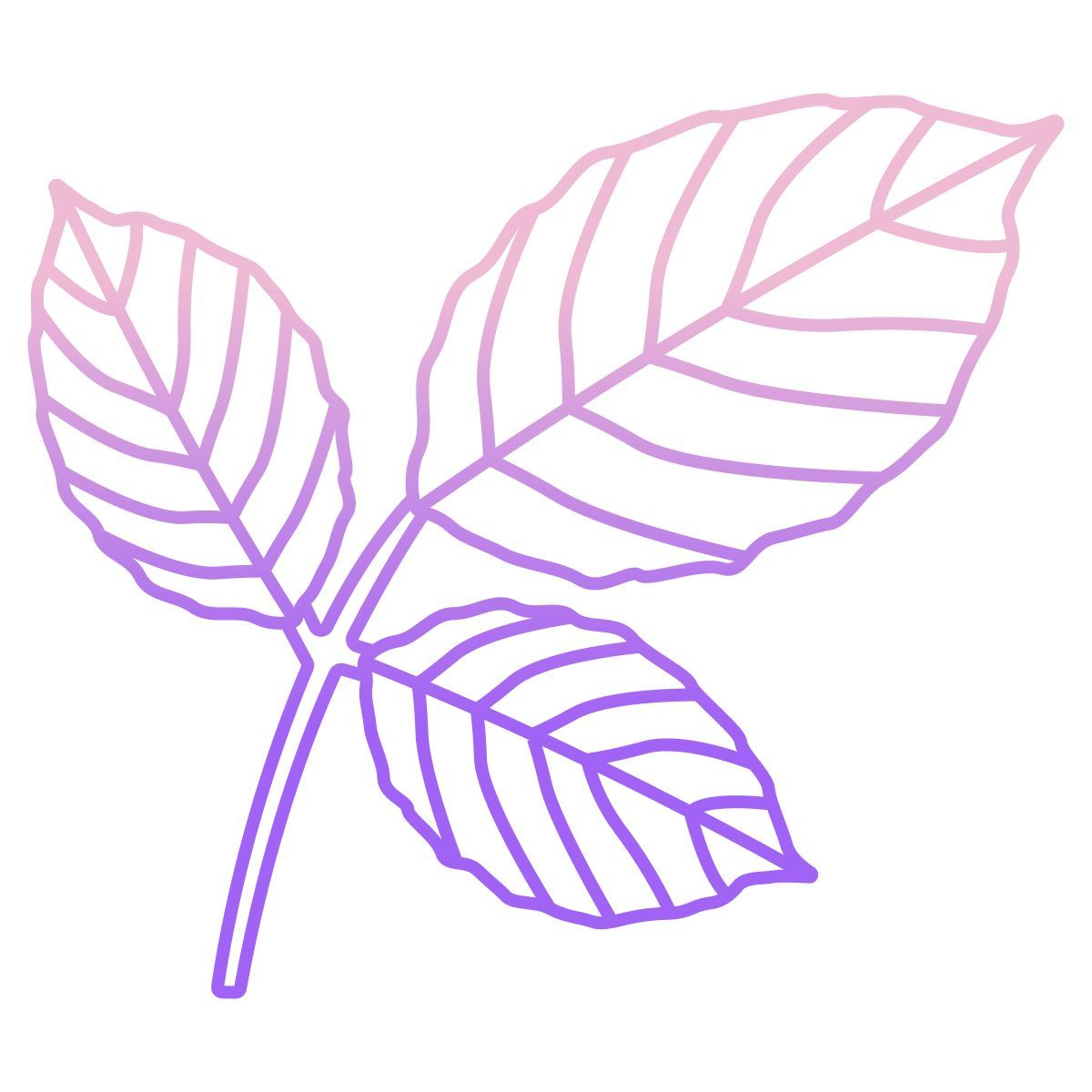 leaf icon