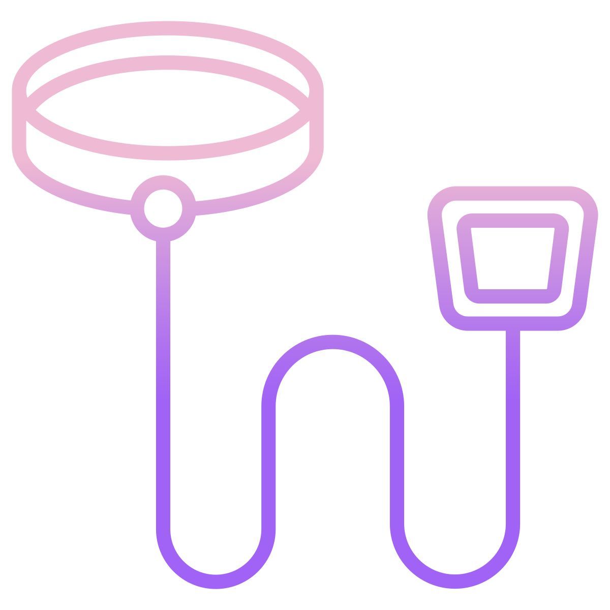 leash icon