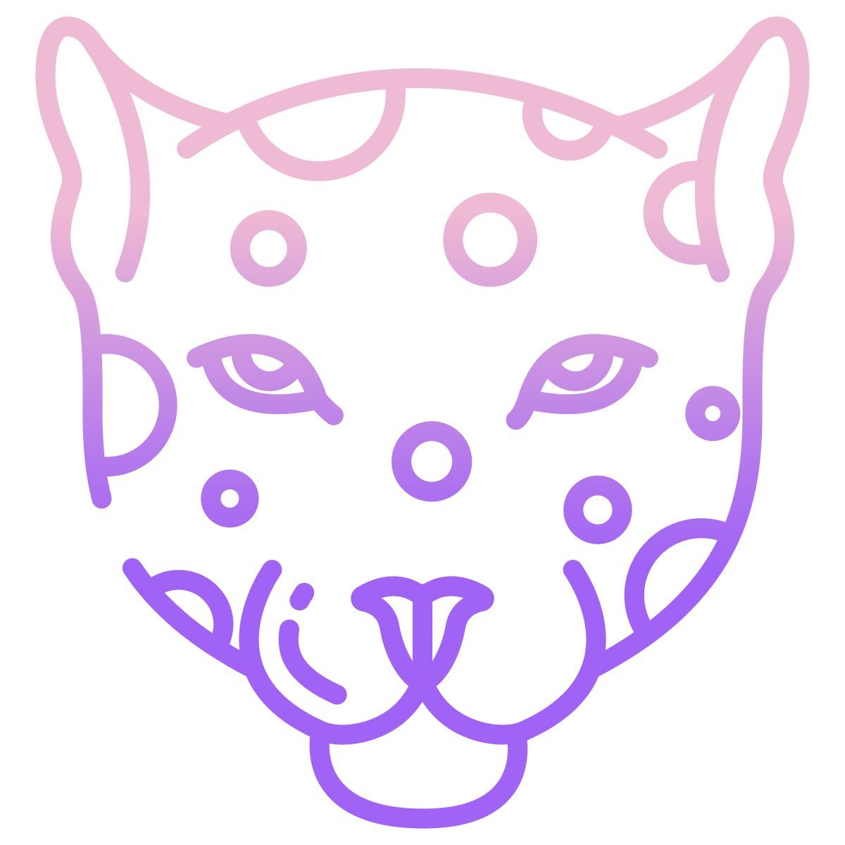 leopardo icon