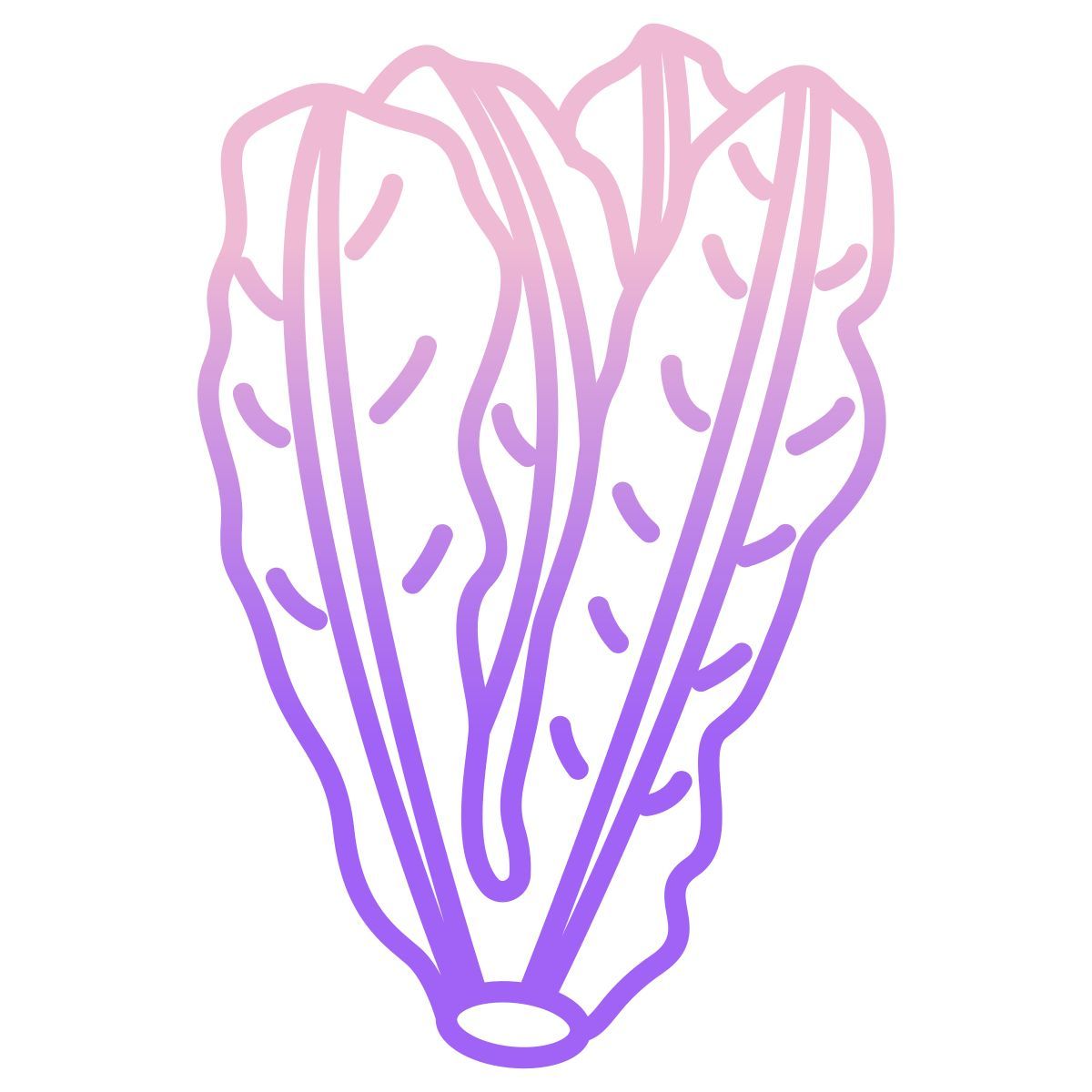 lettuce icon