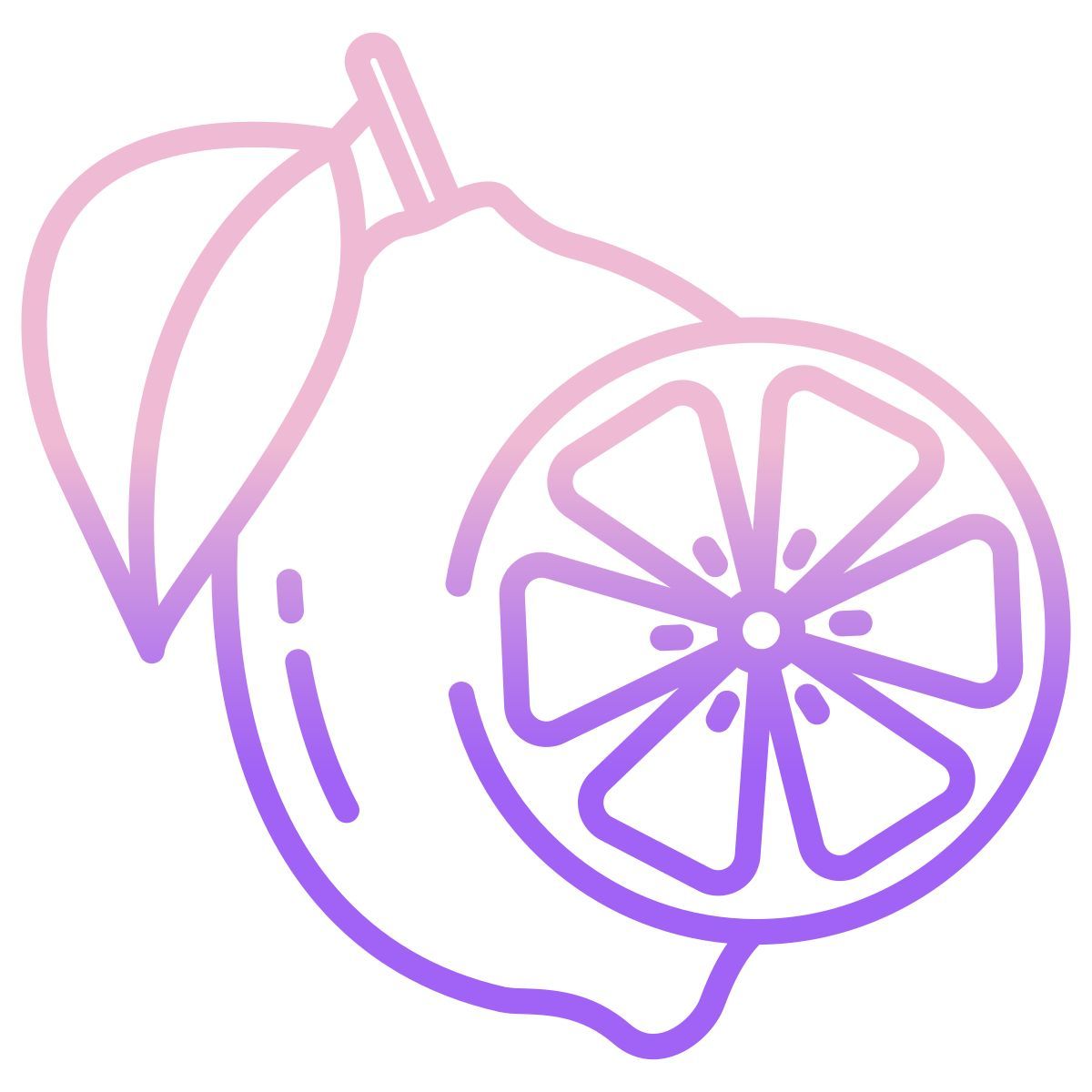 lime icon