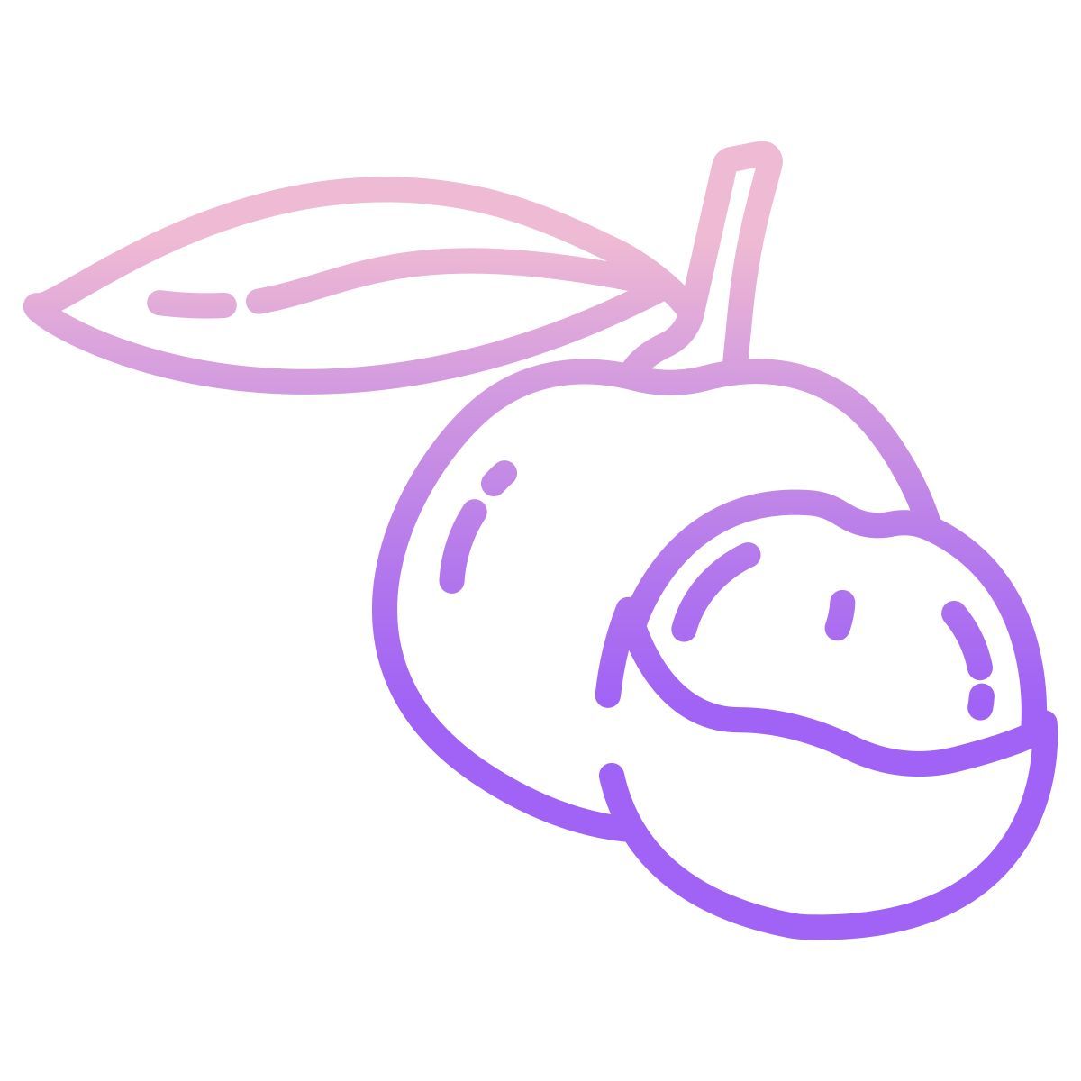 largo icon