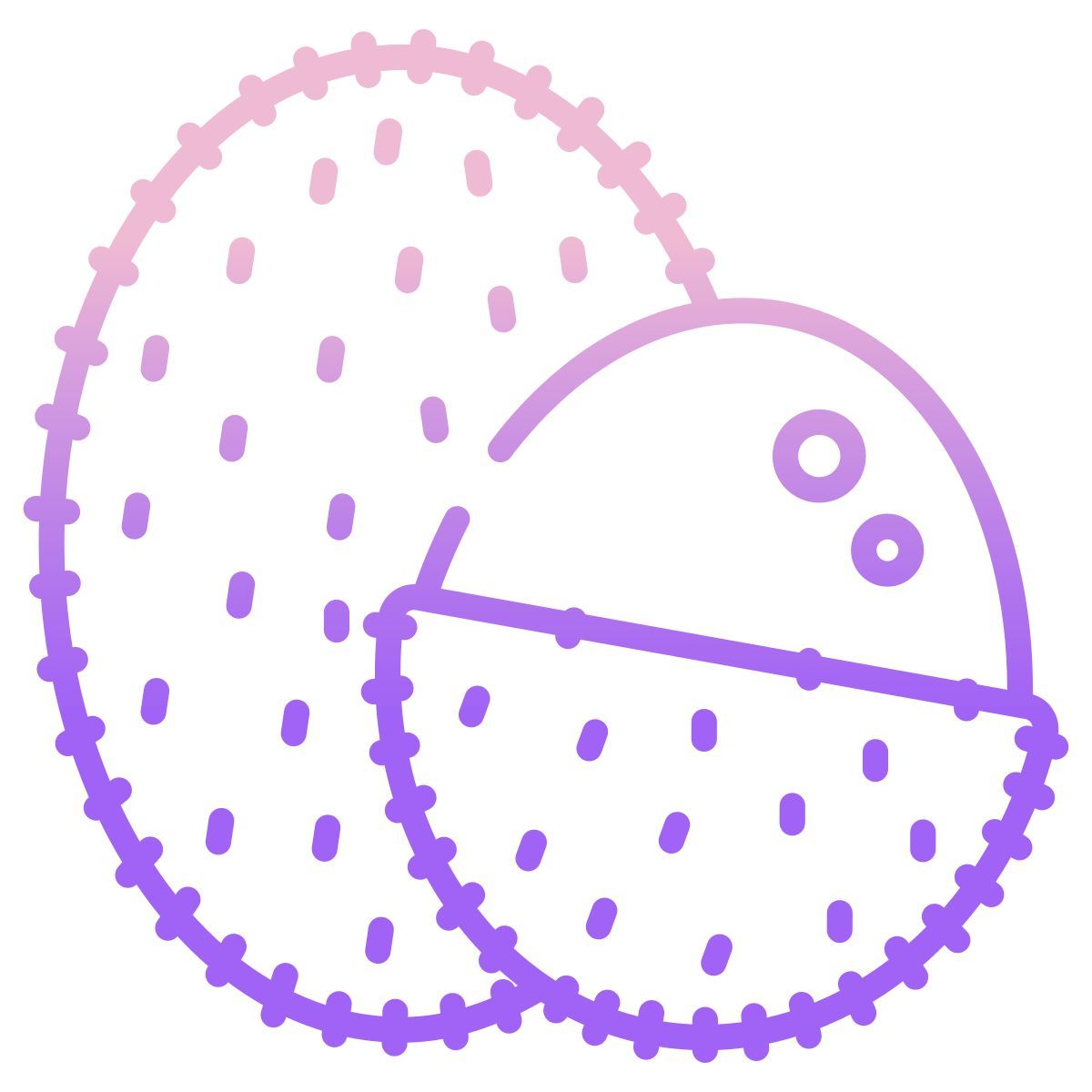 lychee icon