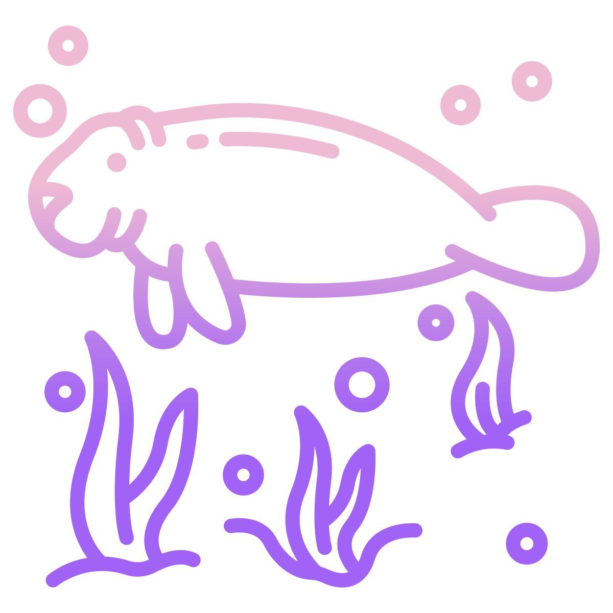 manatee icon