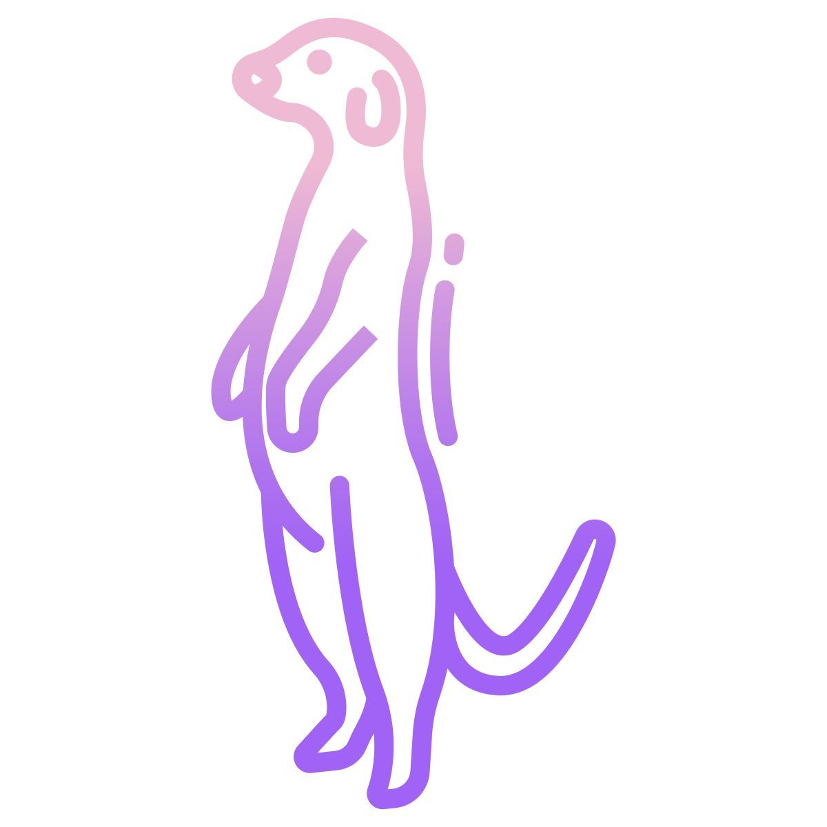 meerkat icon