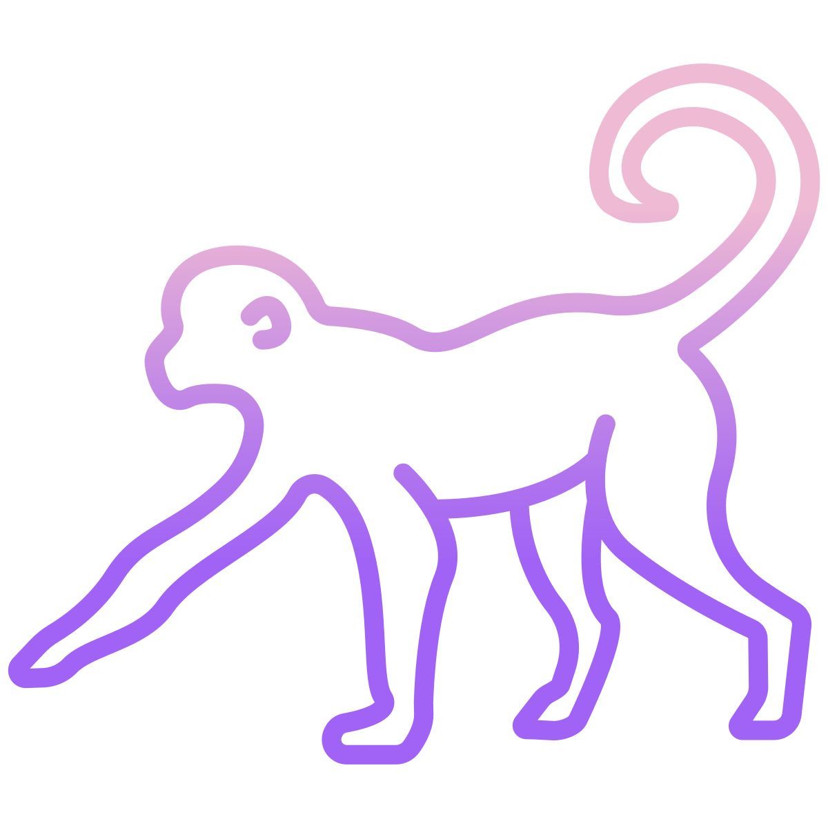 monkey icon