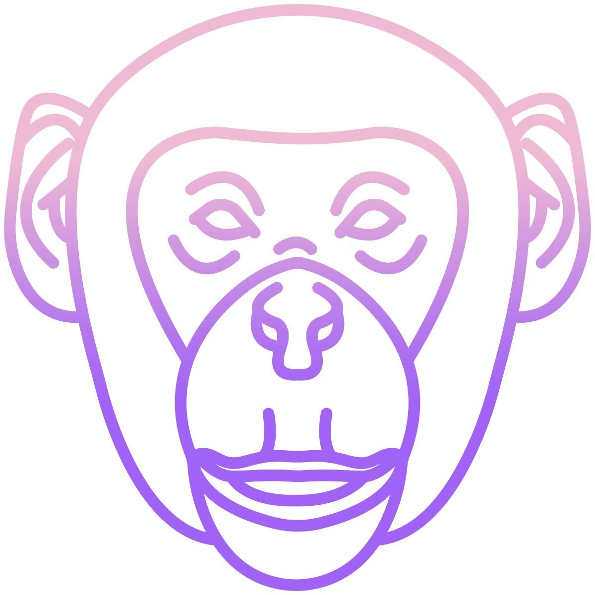 monkey icon