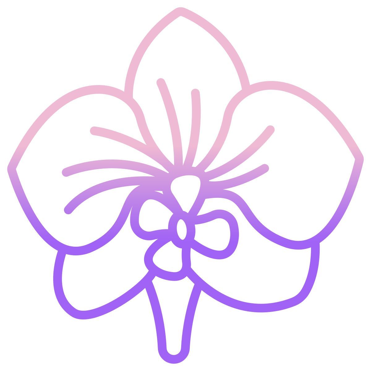 orchid icon