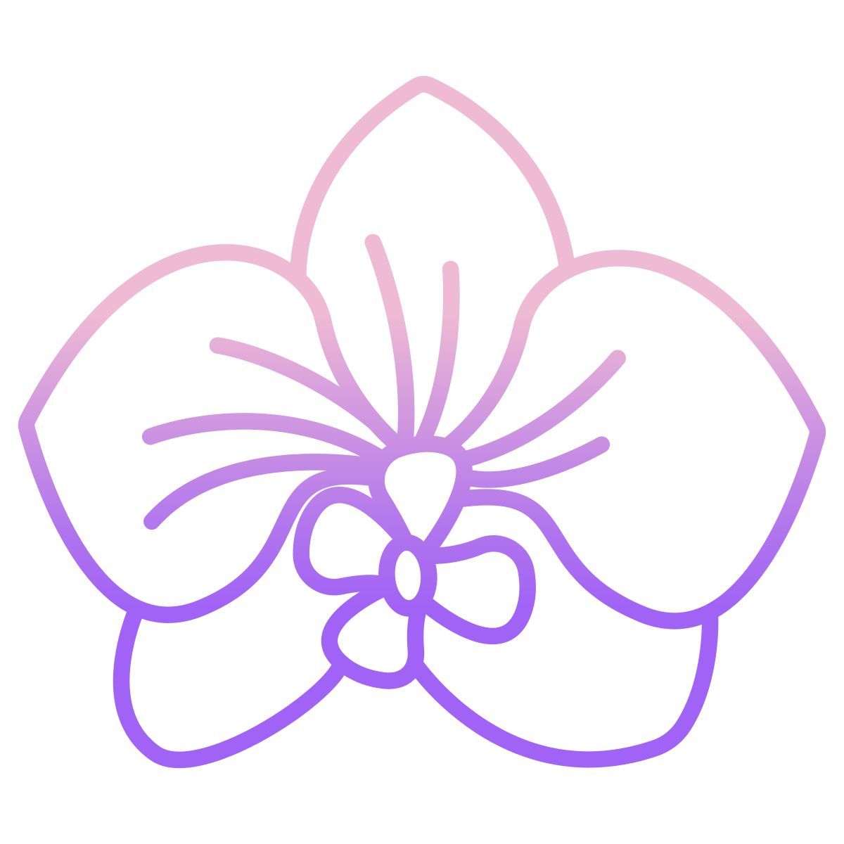 orchid icon